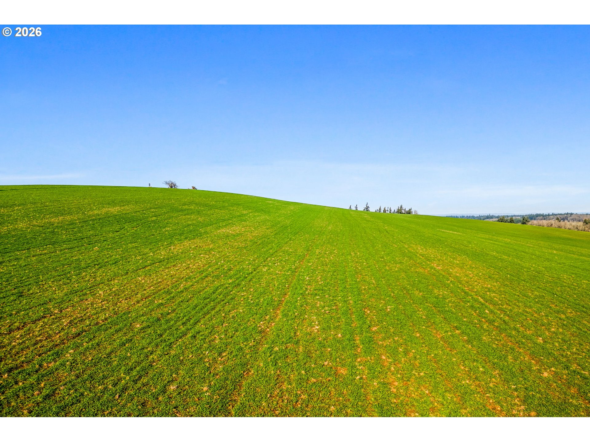 9900 S WILDCAT RD, Molalla, OR, 97038