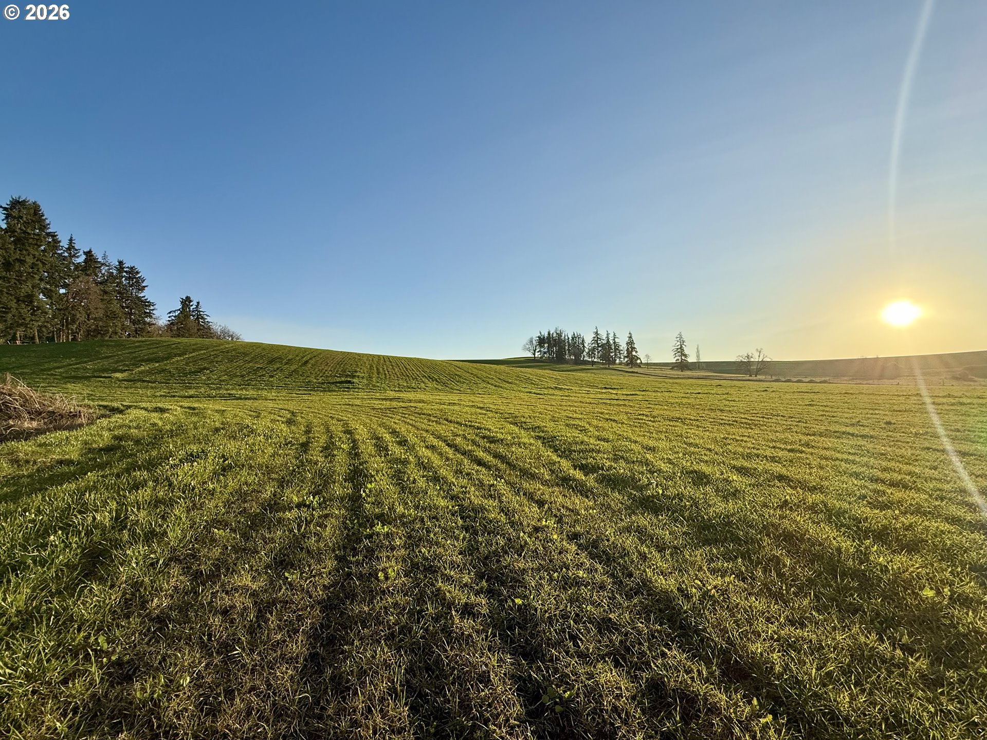 9900 S WILDCAT RD, Molalla, OR, 97038