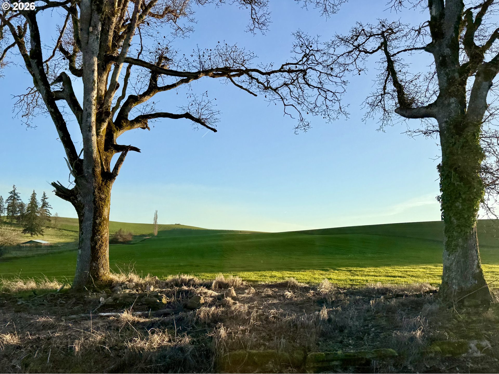 9900 S WILDCAT RD, Molalla, OR, 97038