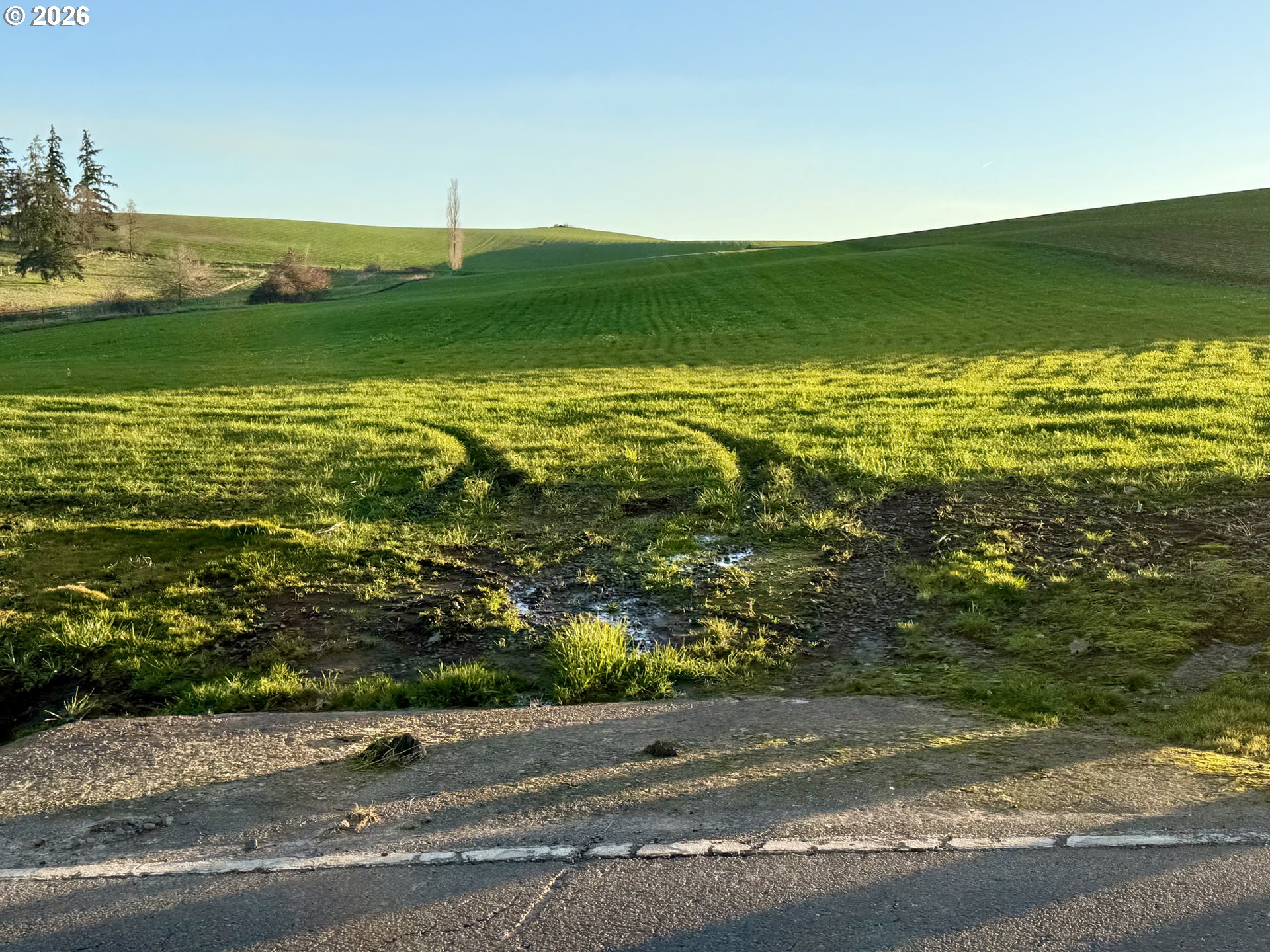 9900 S WILDCAT RD, Molalla, OR, 97038