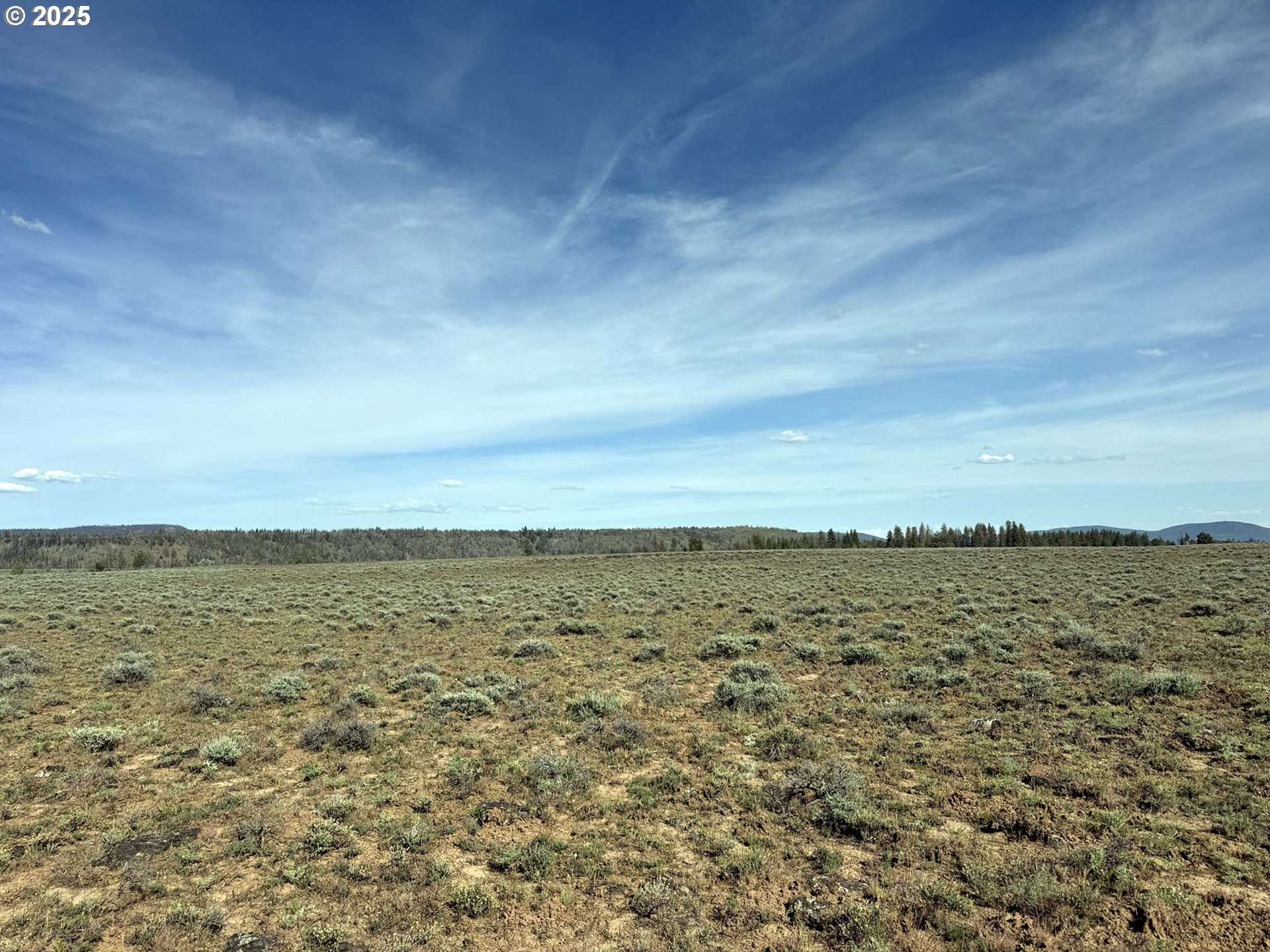 Oregon Pines Road TL 2000 UNIT tl 2000, Beatty, OR, 97621