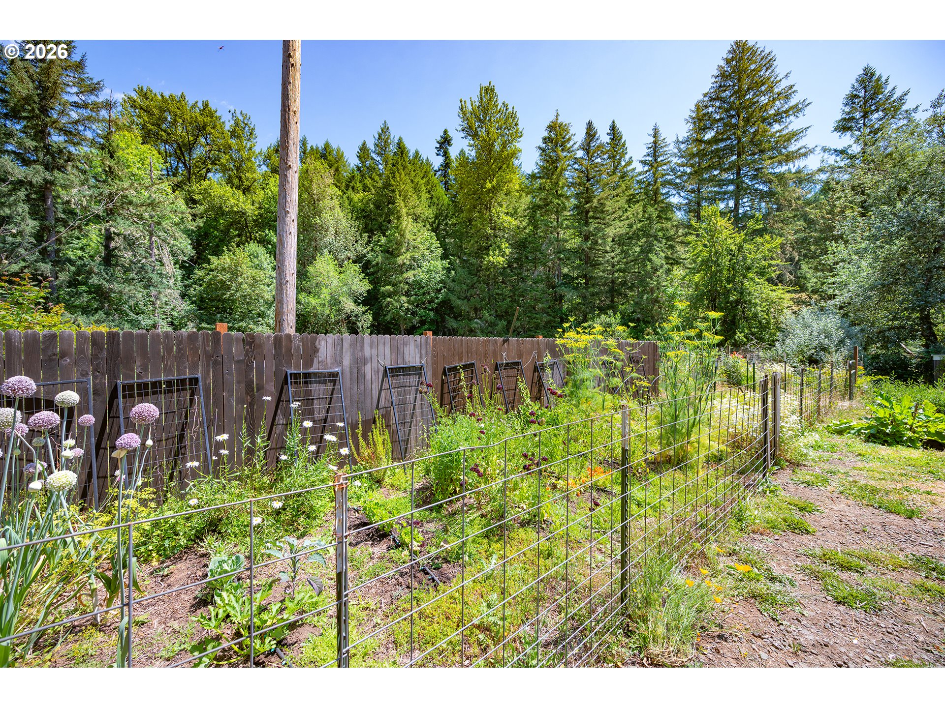 Property photo 36 of 48