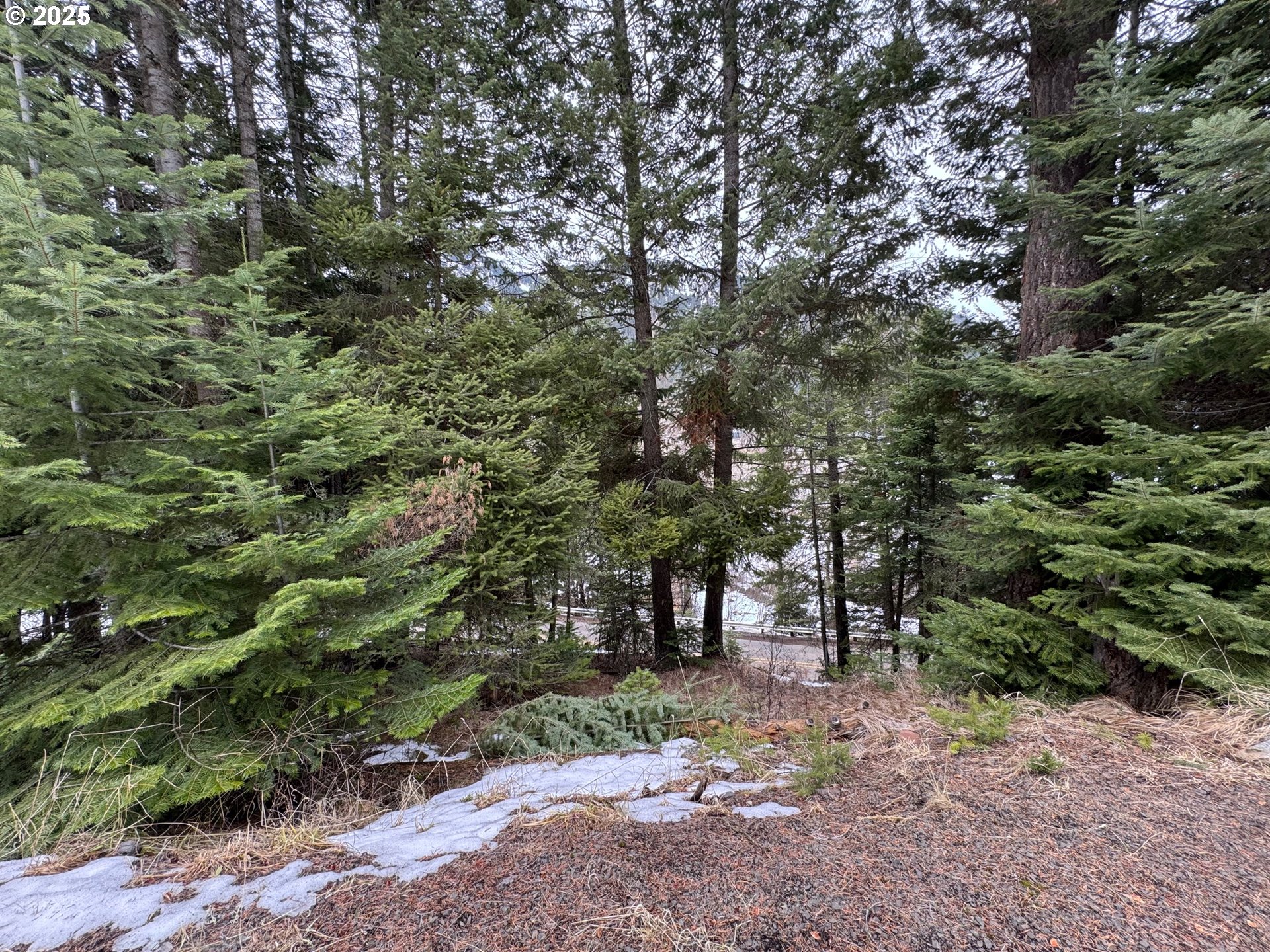 Search Homes for Sale Search Homes for Sale