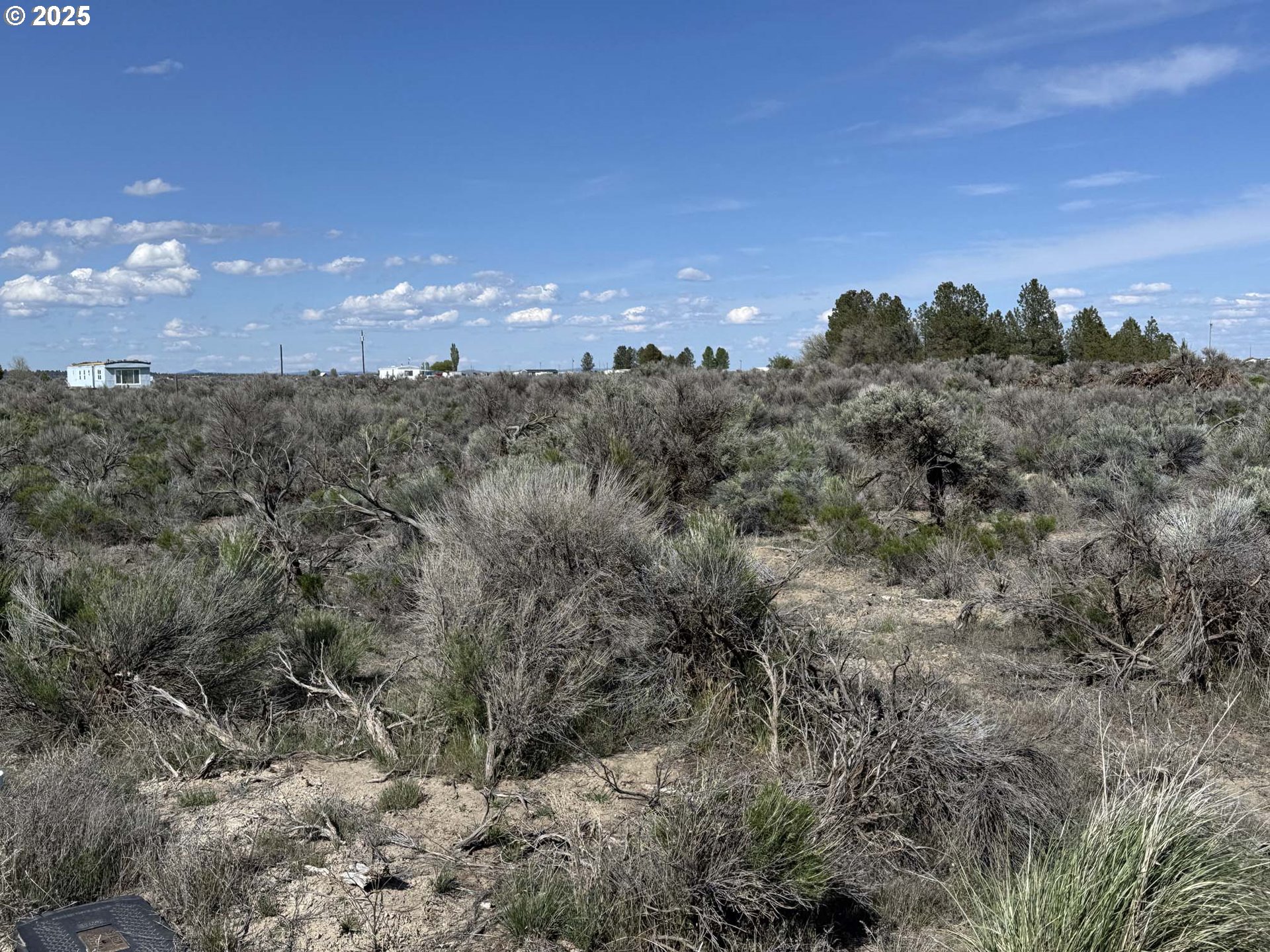 Search Homes for Sale