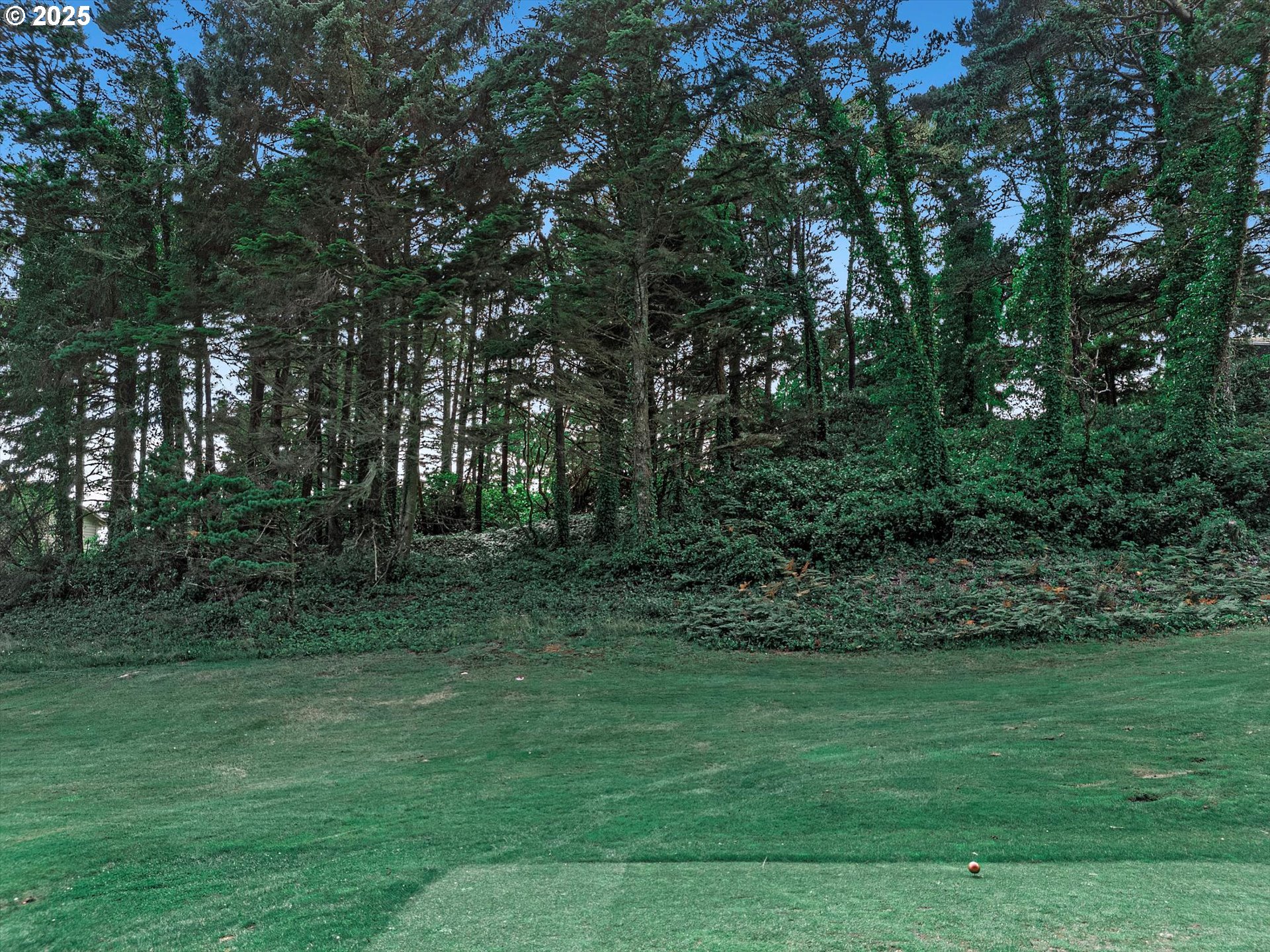 Search Homes for Sale