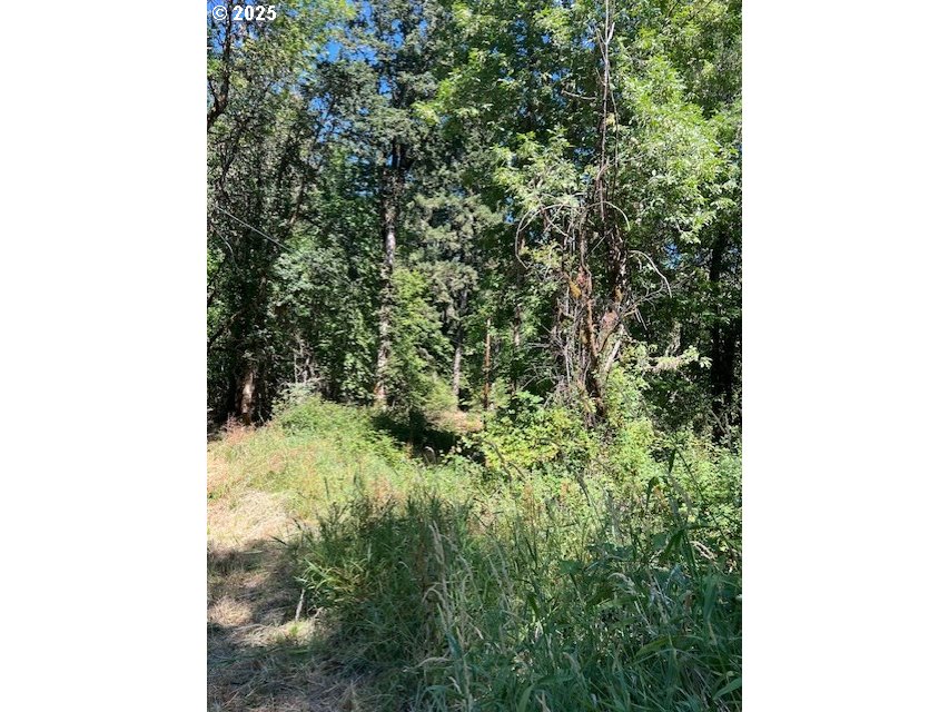 47980 NW WALDHEIM WAY, Forest Grove, OR, 97116