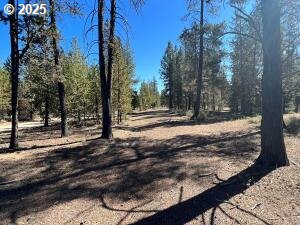 Search Homes for Sale