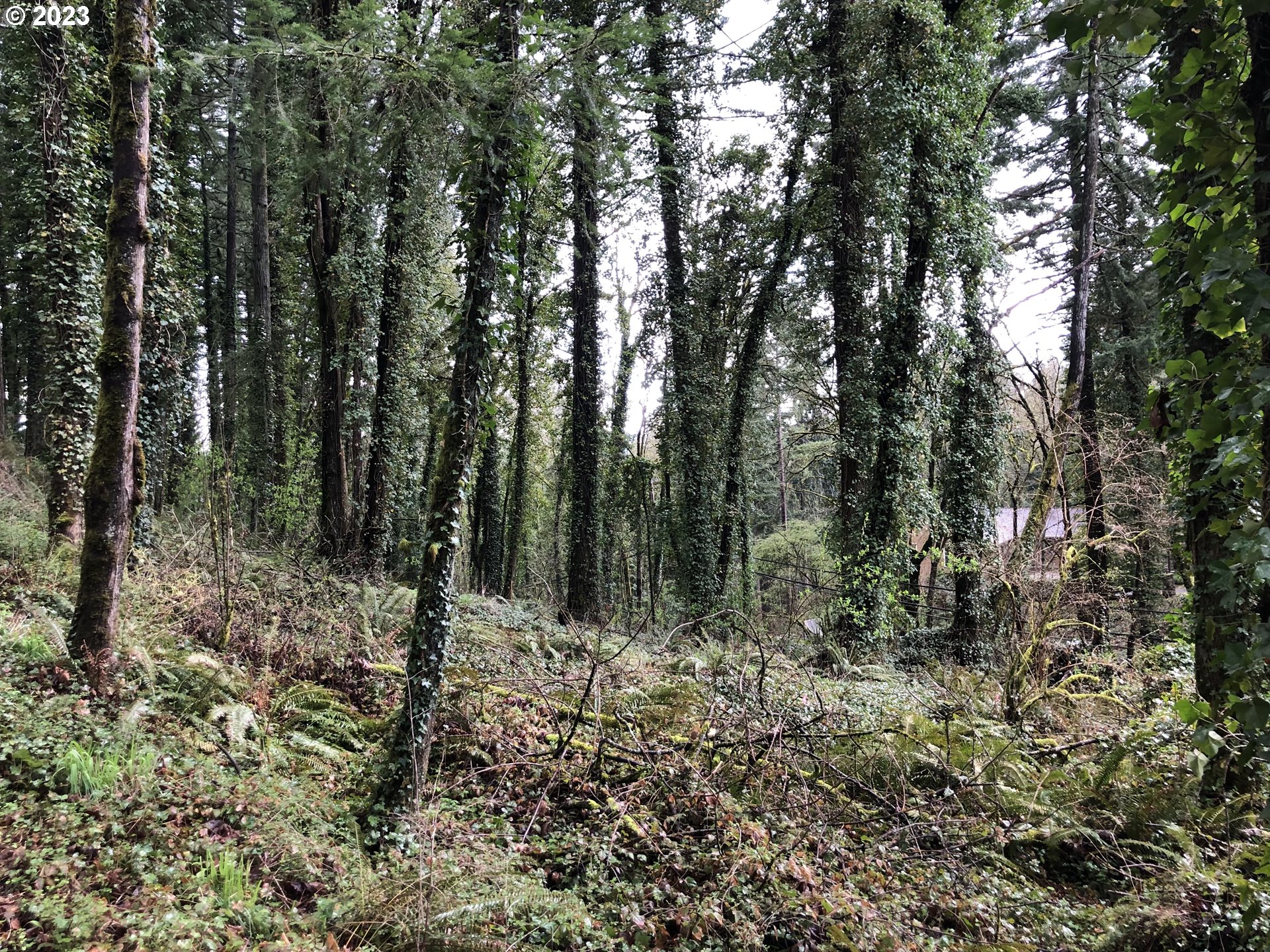 Search Homes for Sale