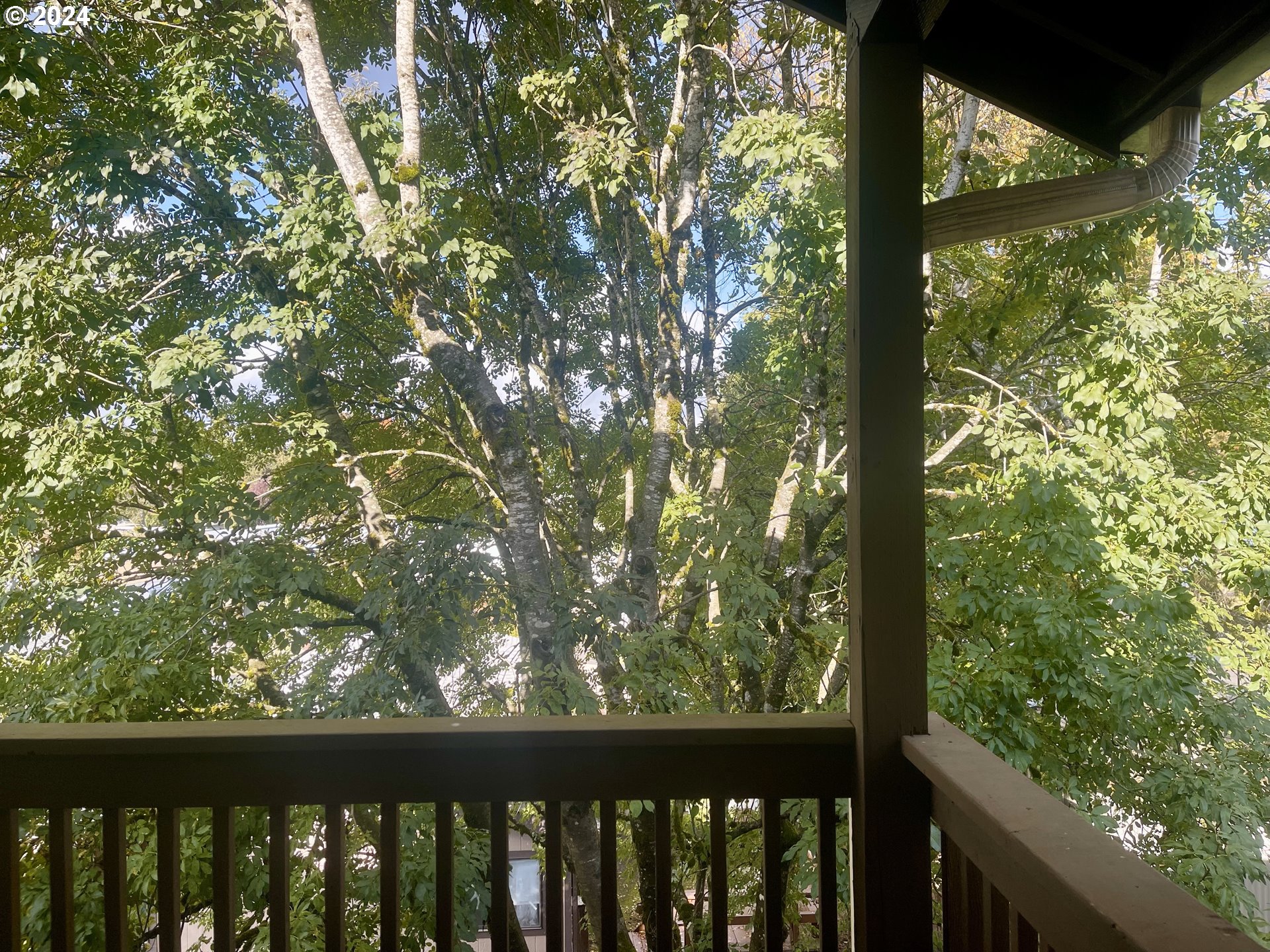 Photo #9: 655912050 Listing: Photo #9