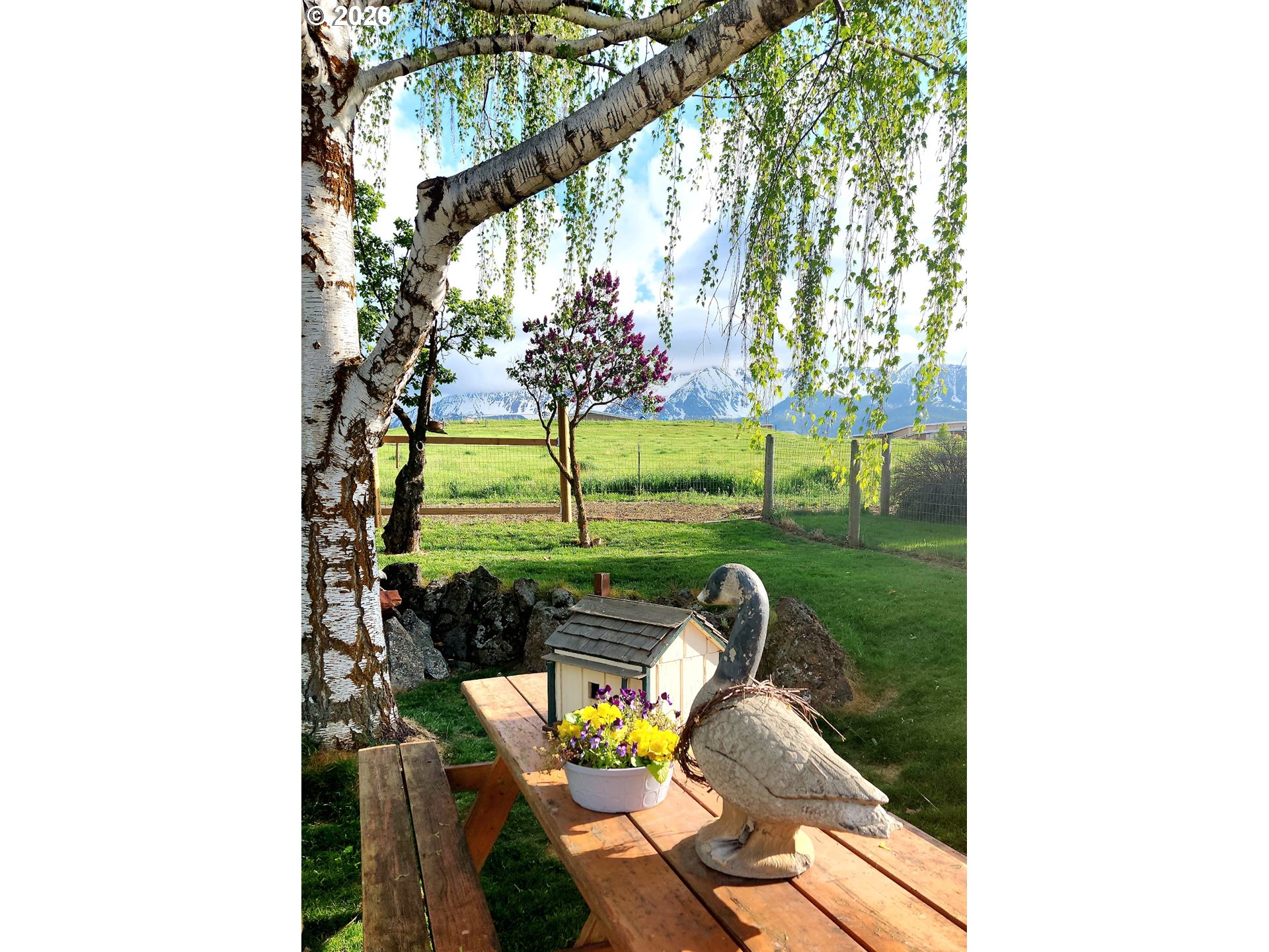 612 E WALLOWA AVE, Joseph, OR, 97846