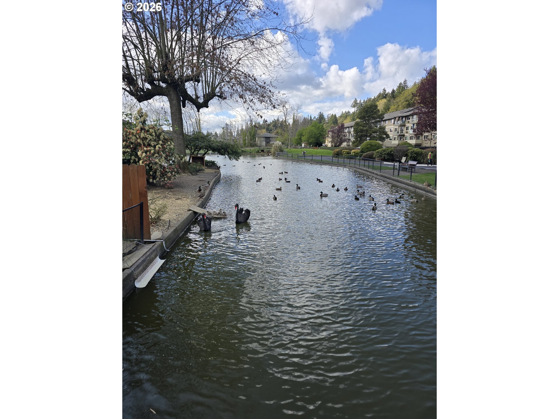 Photo #9: 658117330 Listing: Photo #9