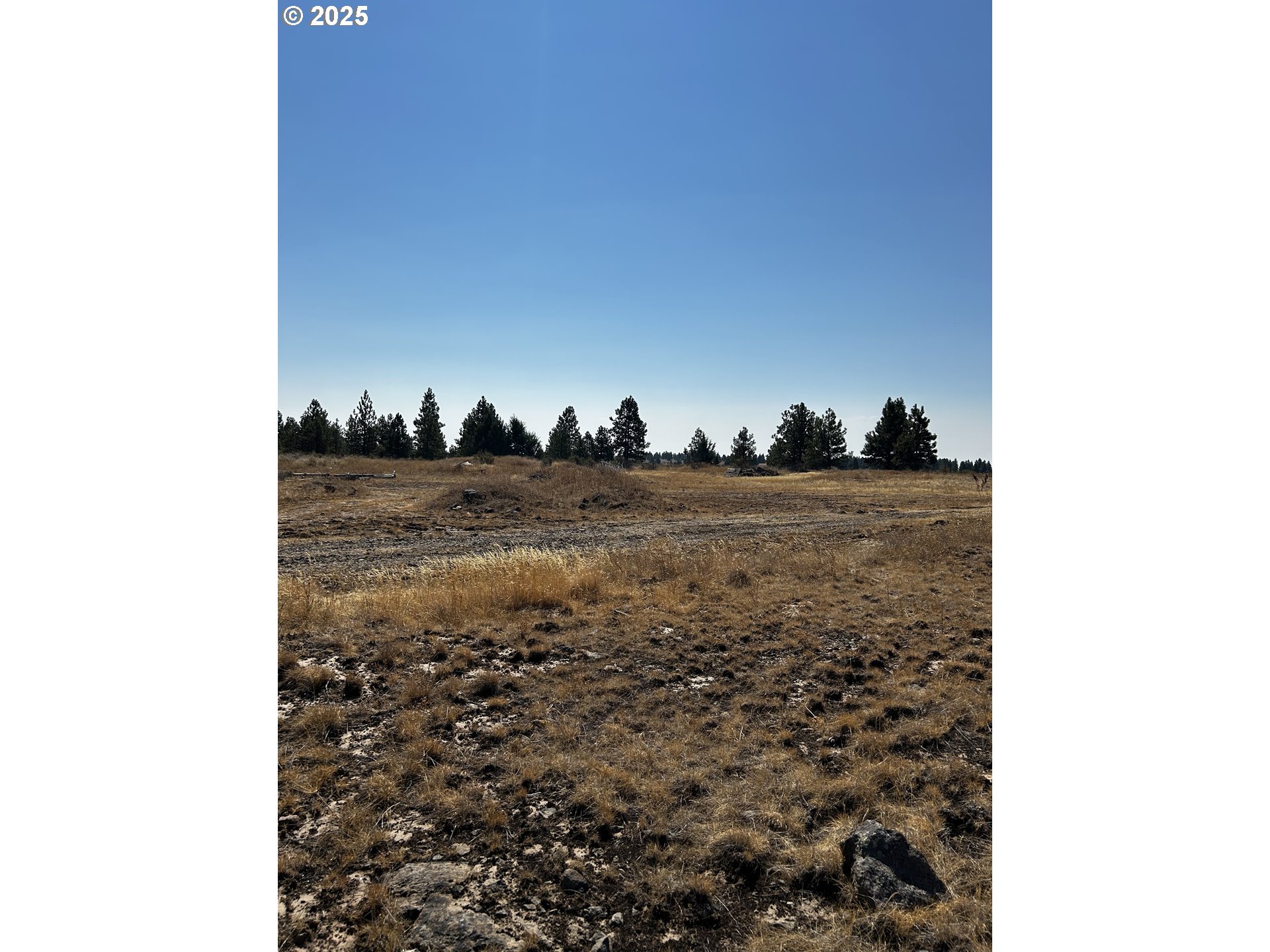 Search Homes for Sale