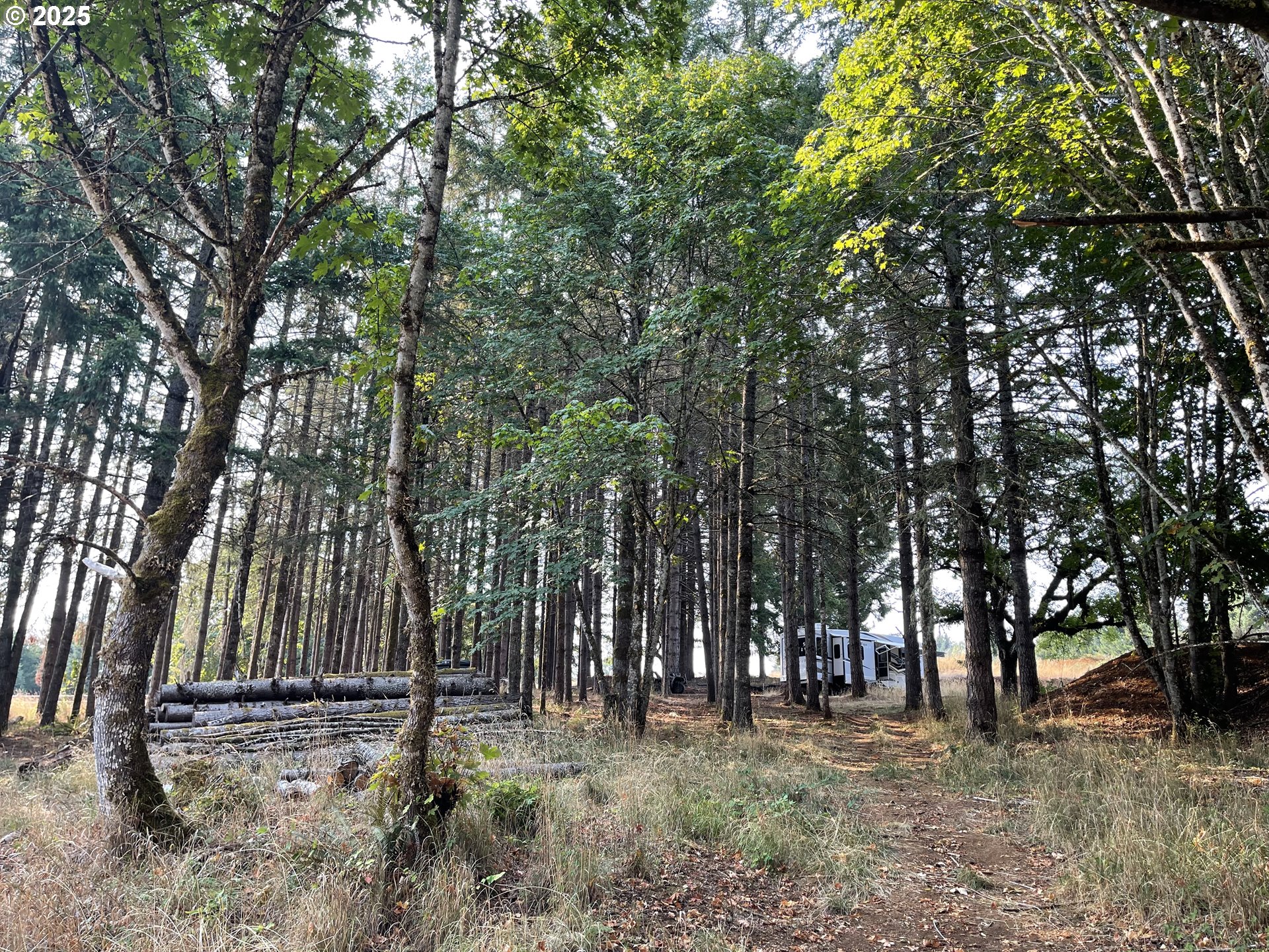 25560 SW VALLEY VIEW LN, Sheridan, OR, 97378