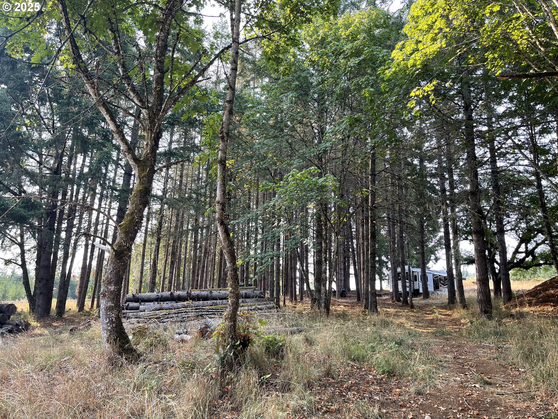 25560 SW VALLEY VIEW LN, Sheridan, OR, 97378