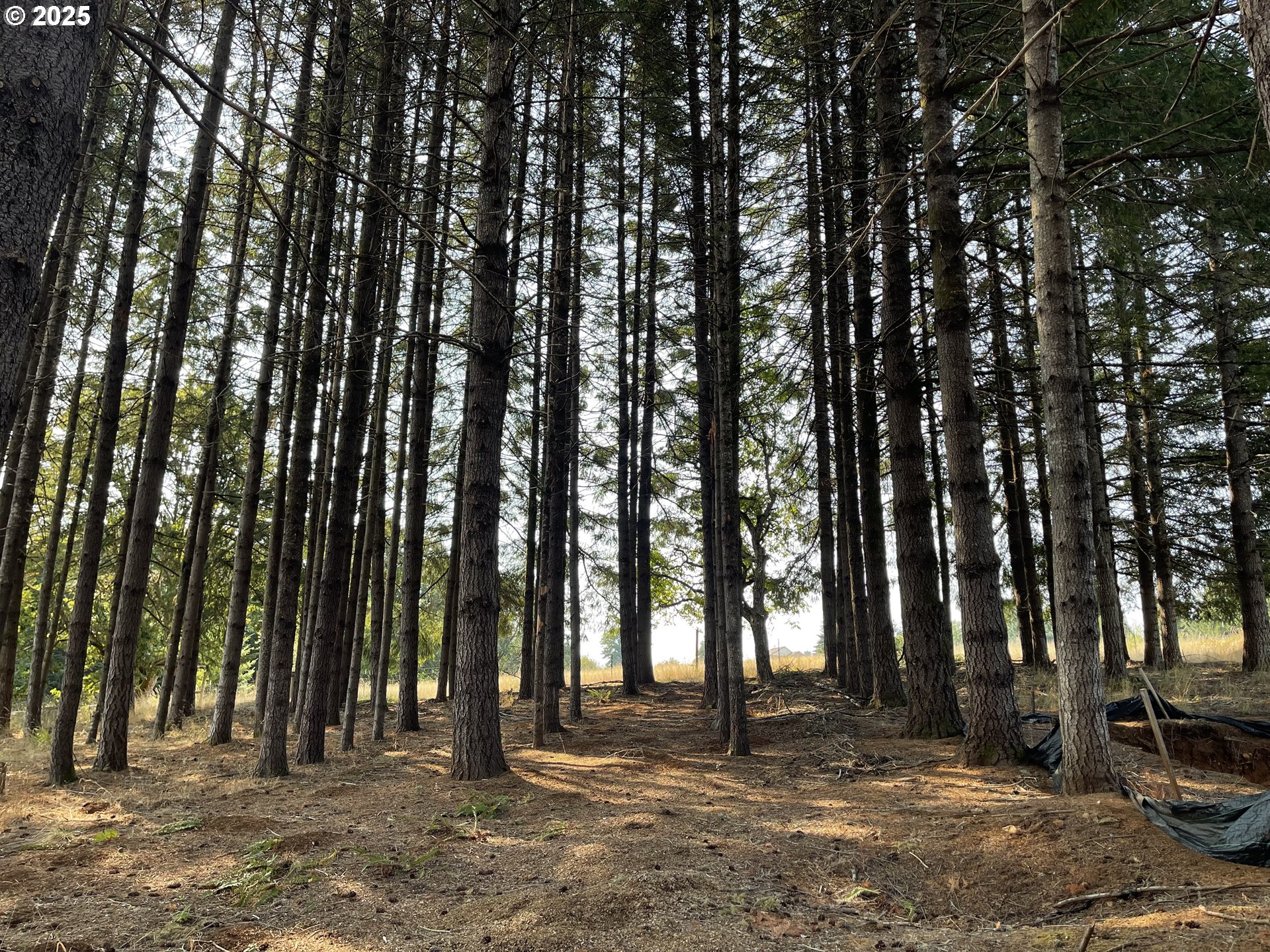 25560 SW VALLEY VIEW LN, Sheridan, OR, 97378