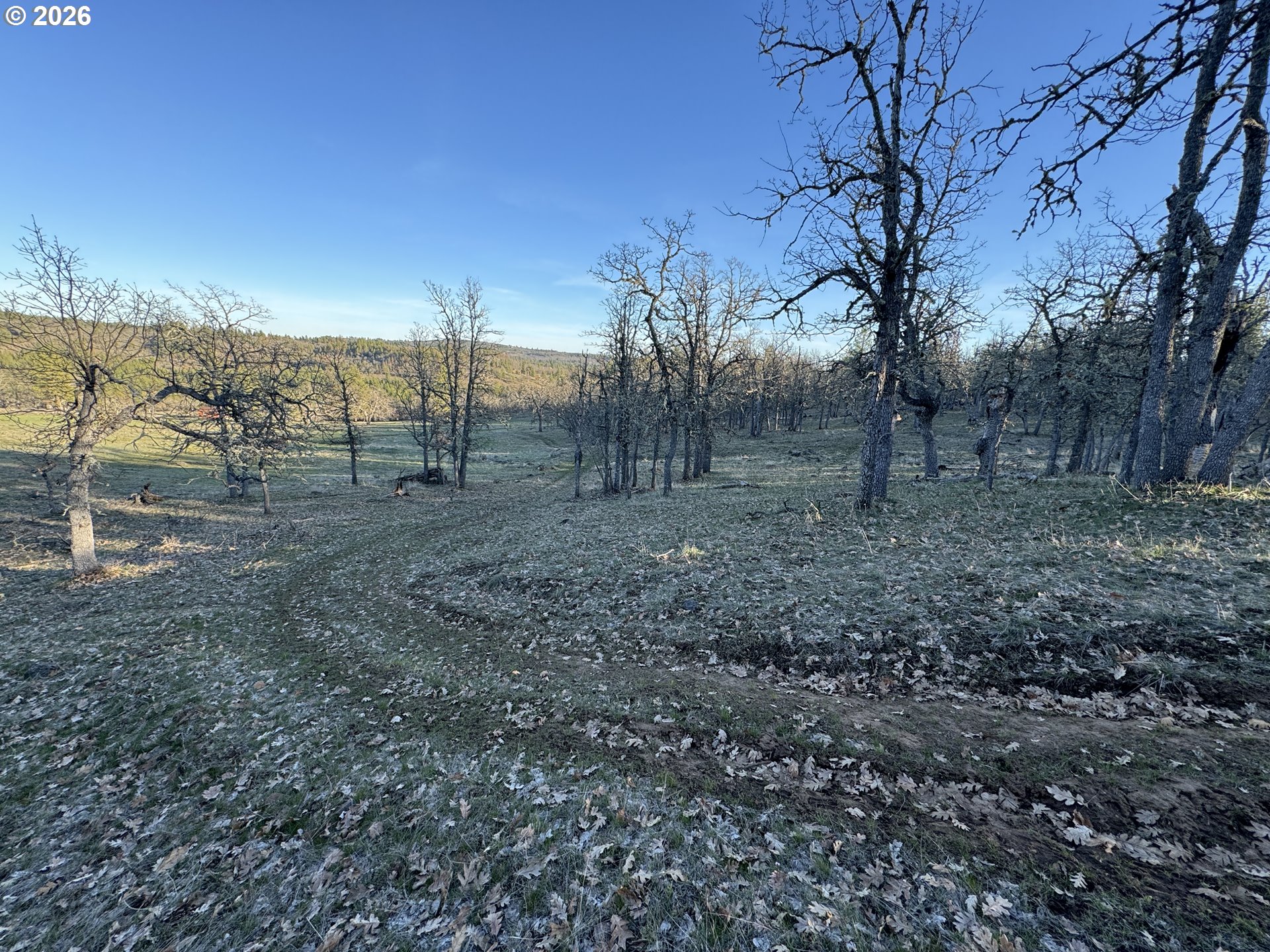 Search Homes for Sale