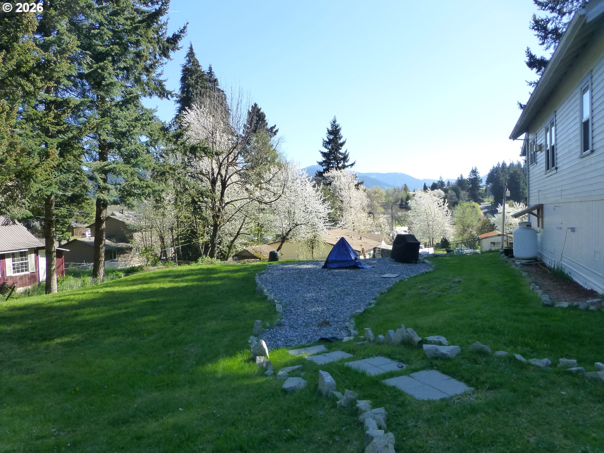 51 WILKINSON ST, Carson, WA, 98610