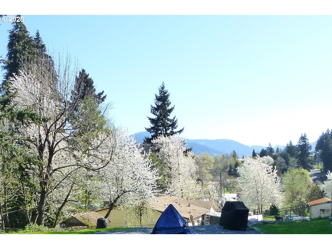 51 WILKINSON ST, Carson, WA, 98610