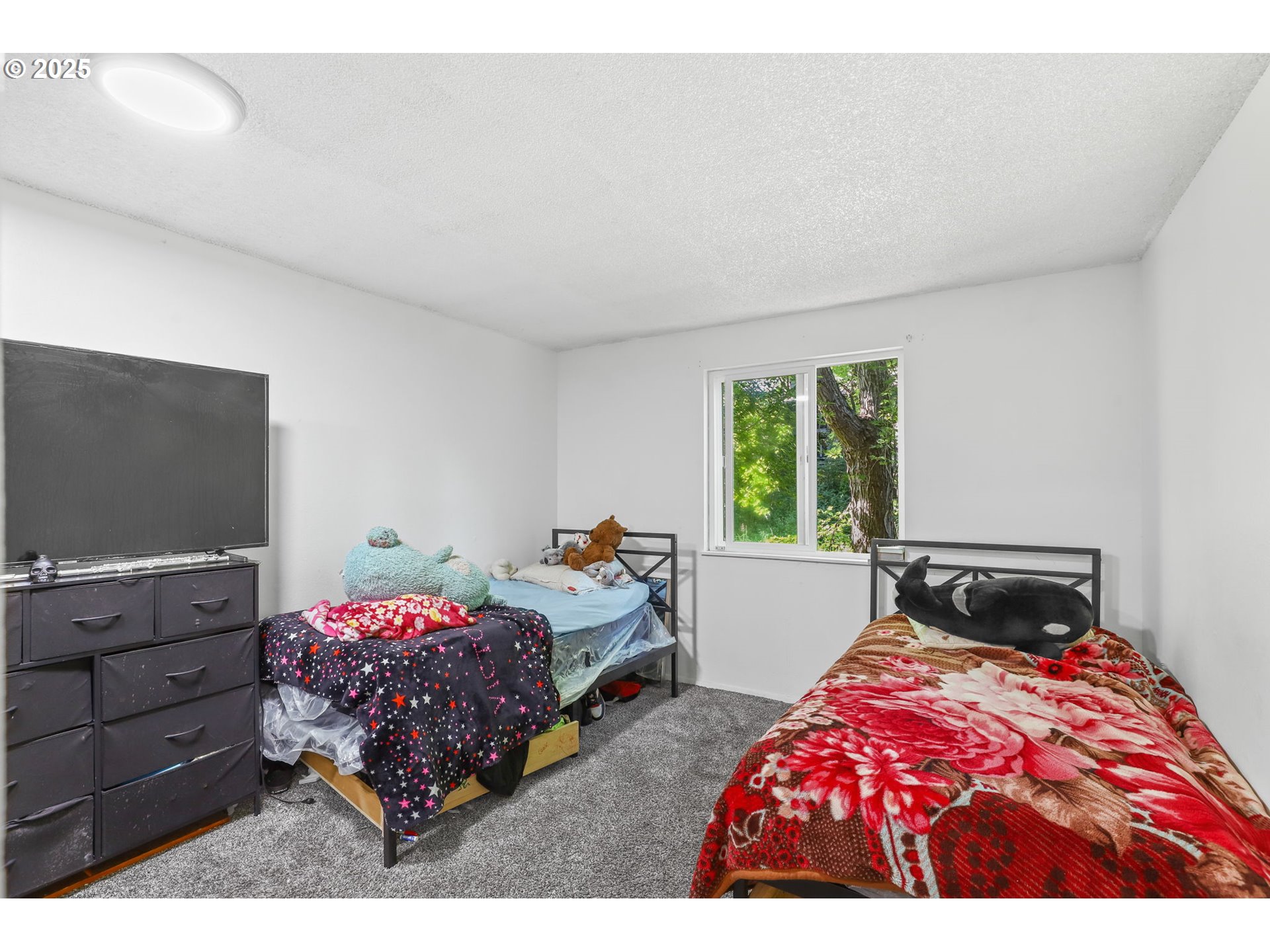 Photo #15: 676307793 Listing: Photo #15