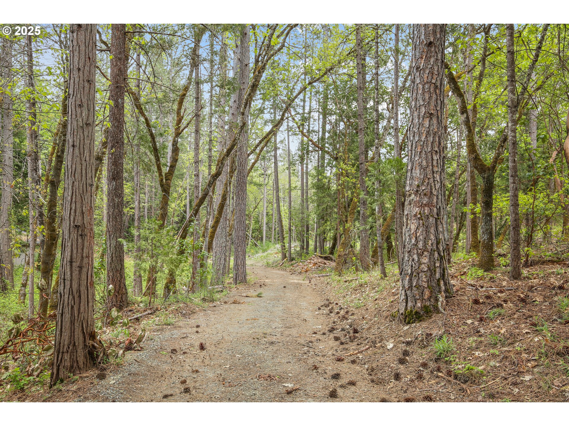 Search Homes for Sale