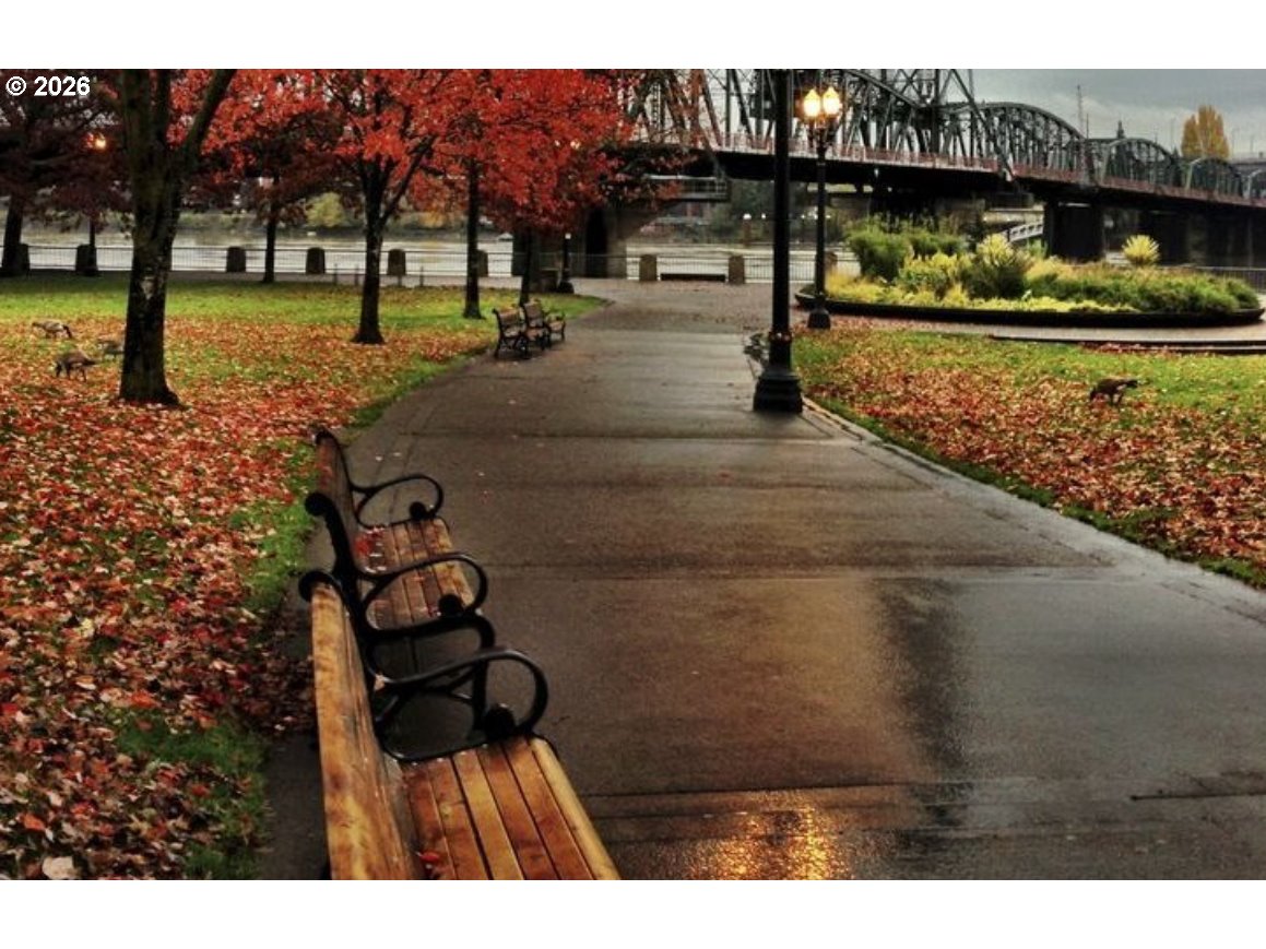 Photo #25: 680732966 Listing: Photo #25