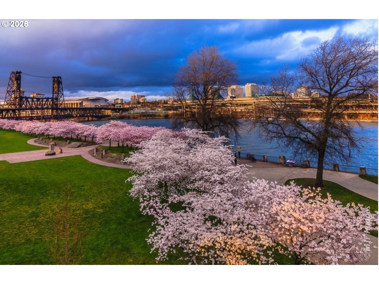 Photo #26: 680732966 Listing: Photo #26