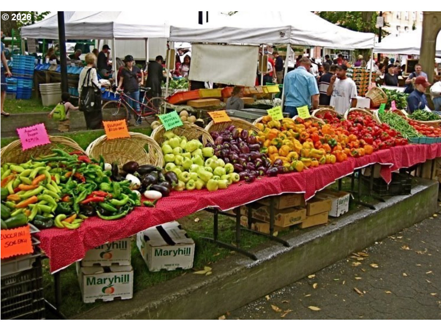 Photo #43: 680732966 Listing: Photo #43