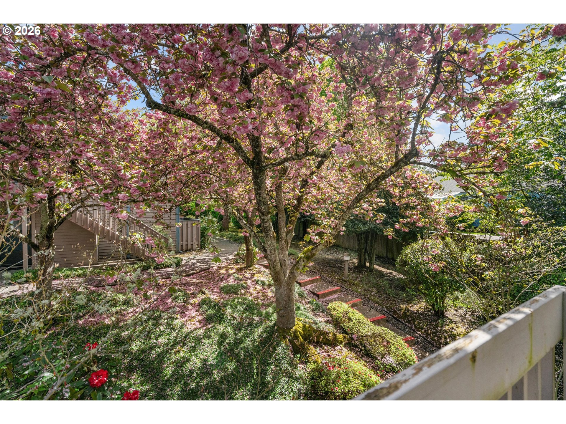 Photo #21: 681107614 Listing: Photo #21