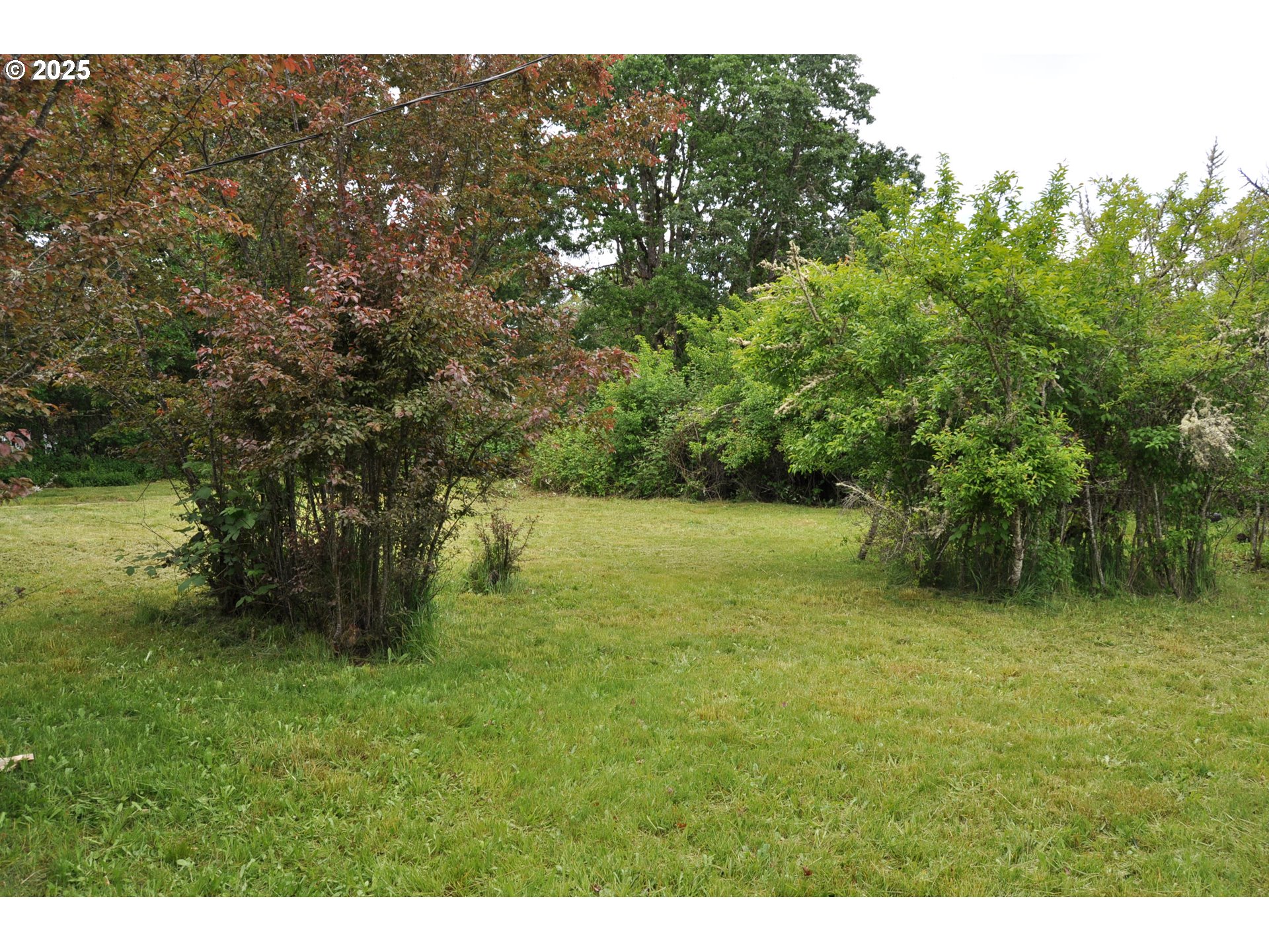 87624 TERRITORIAL RD, Veneta, OR, 97487