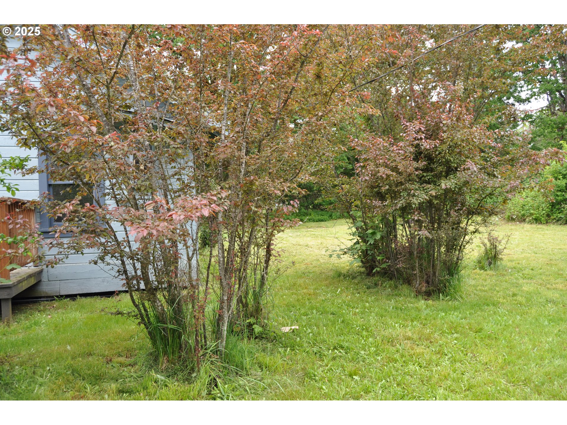 87624 TERRITORIAL RD, Veneta, OR, 97487