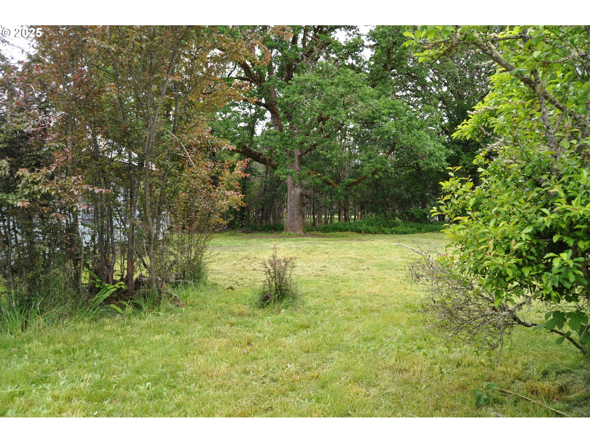 87624 TERRITORIAL RD, Veneta, OR, 97487