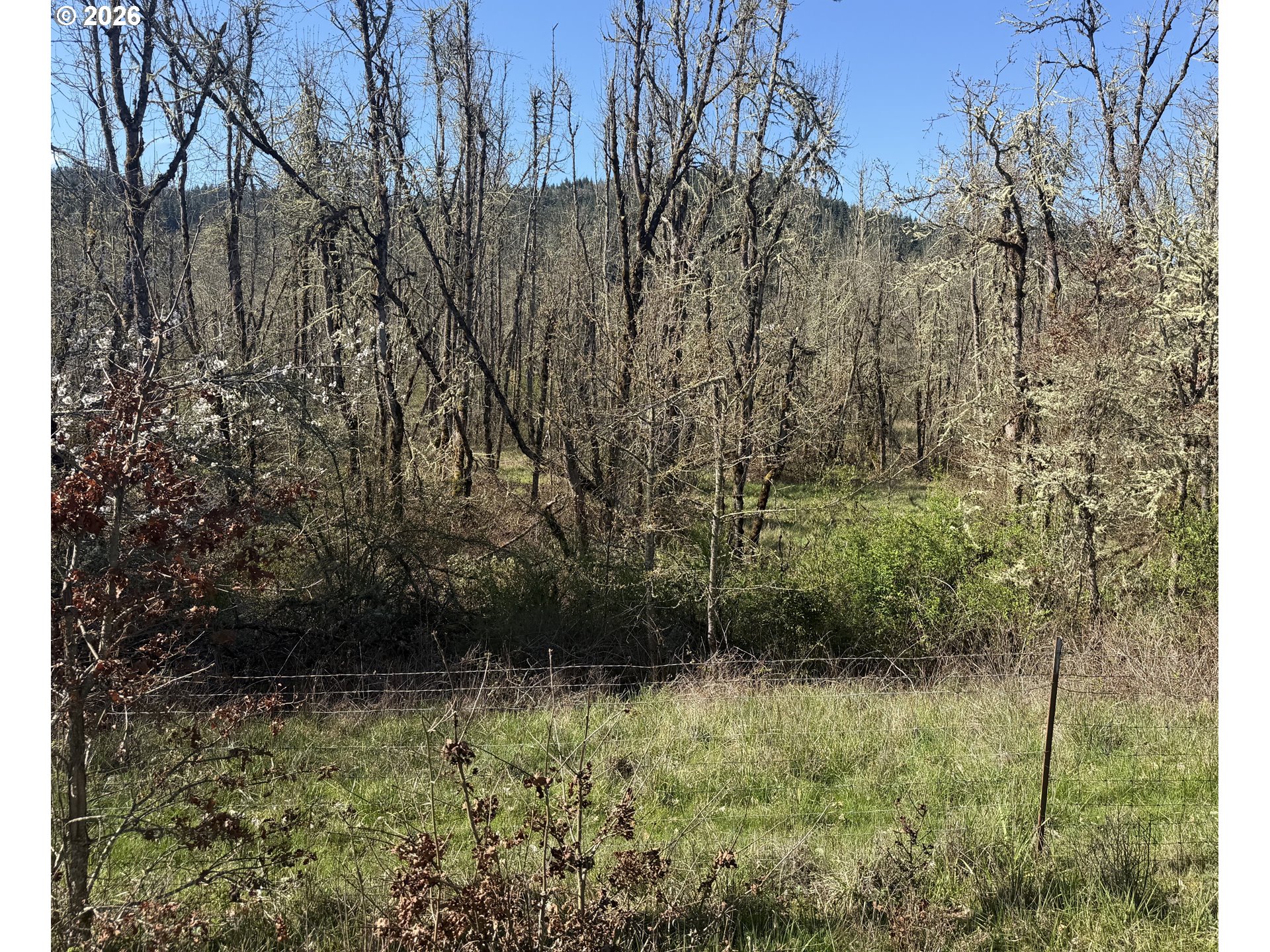 Search Homes for Sale