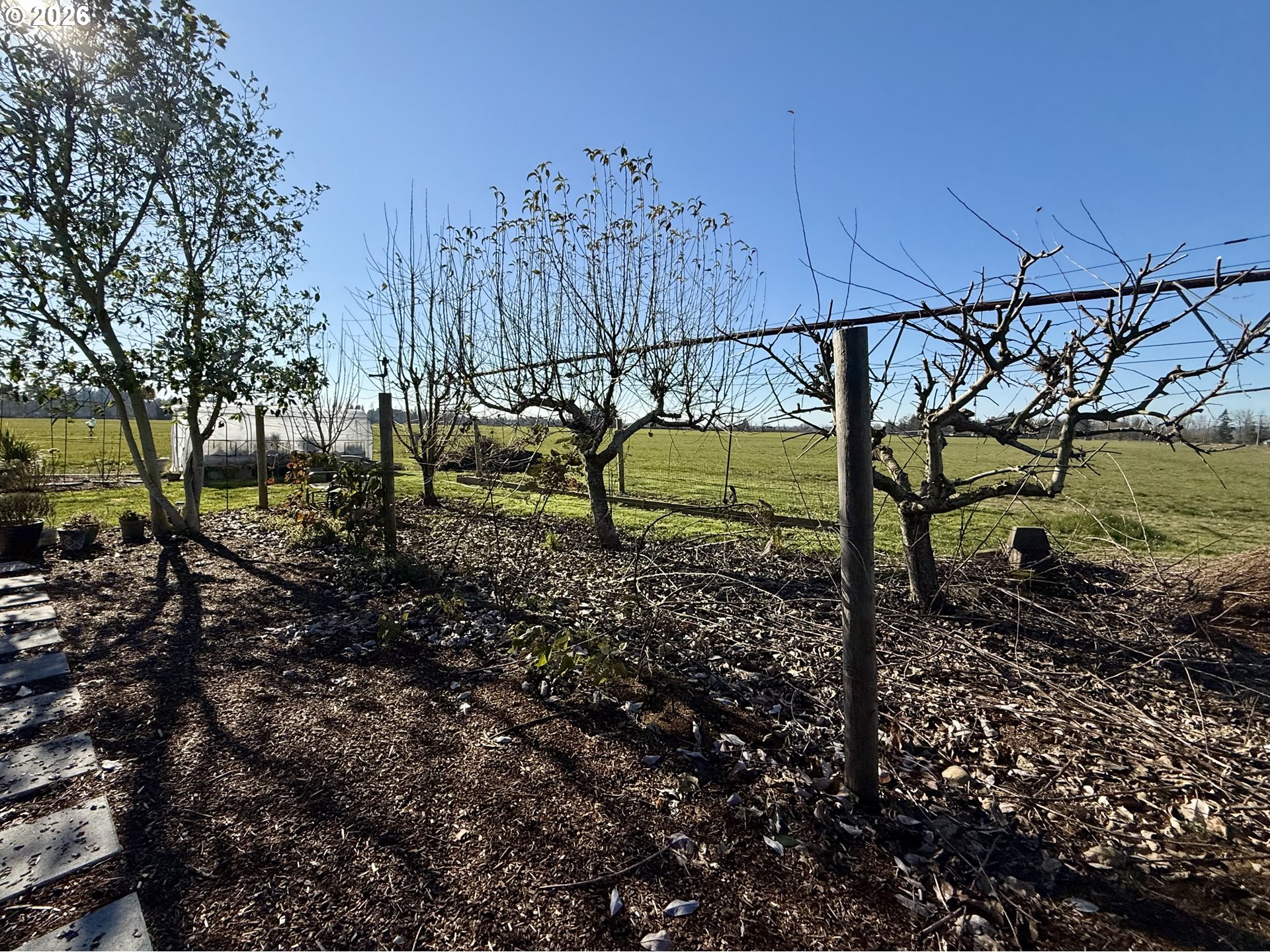 39340 SHELBURN DR, Scio, OR, 97374