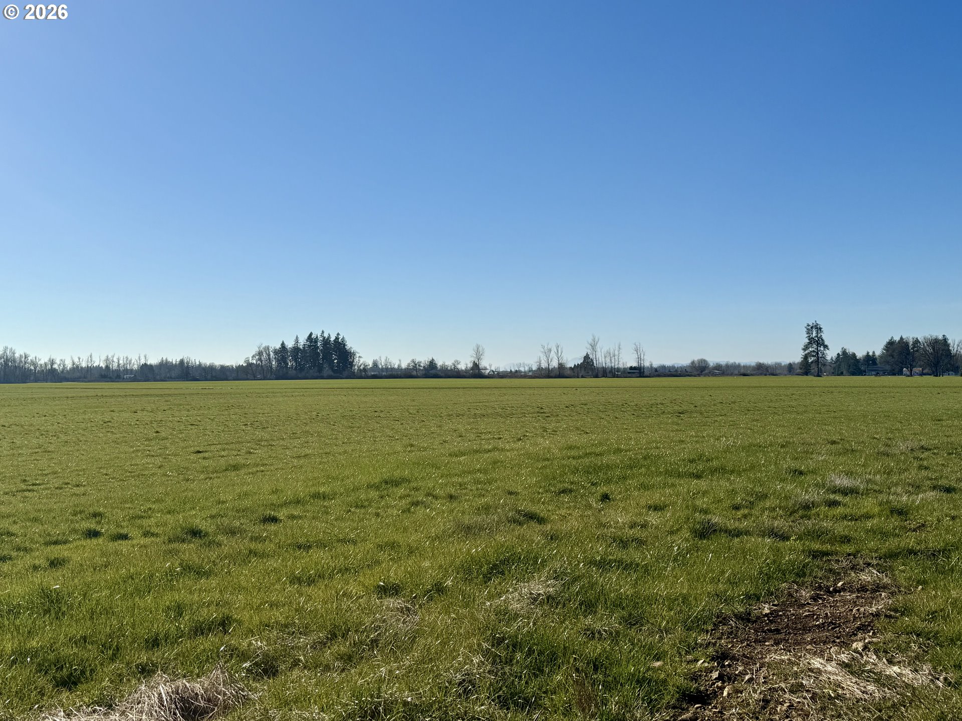 39340 SHELBURN DR, Scio, OR, 97374