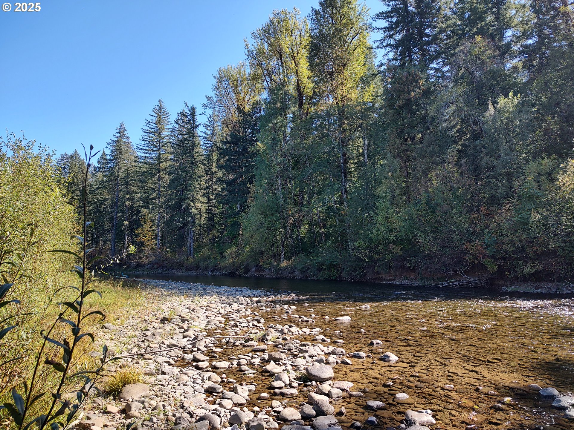 Search Homes for Sale