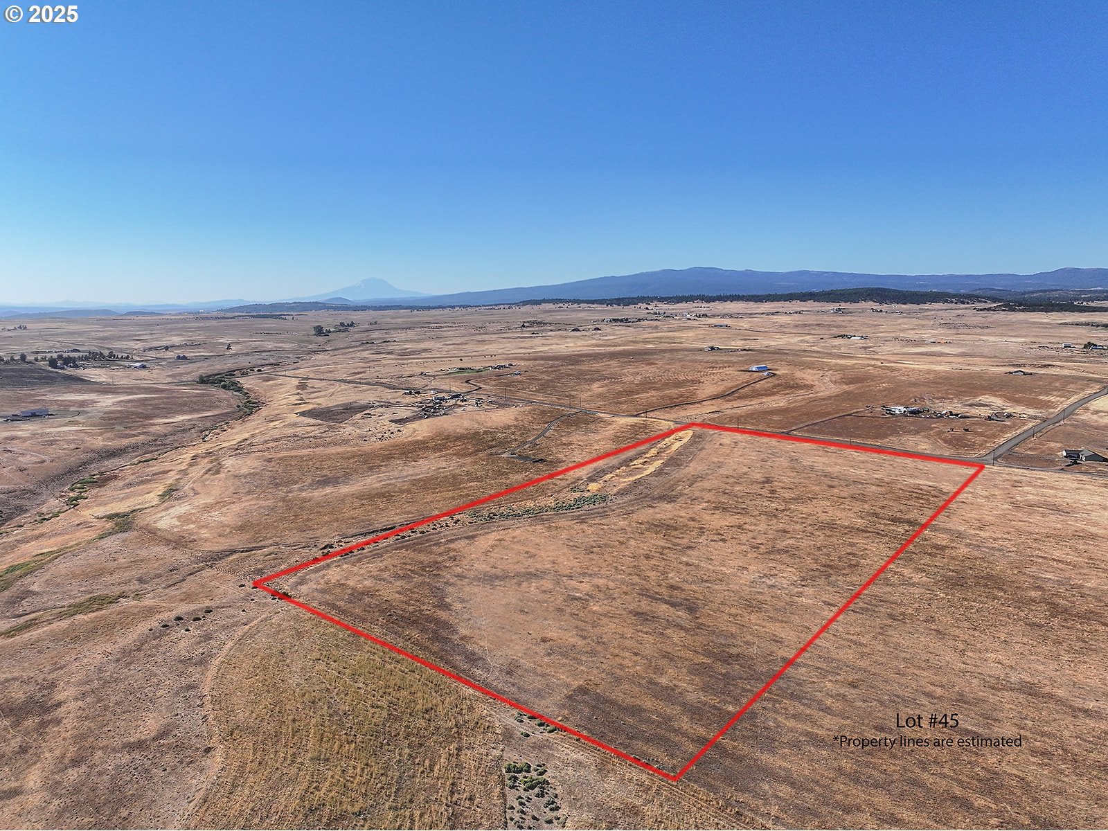 Search Homes for Sale