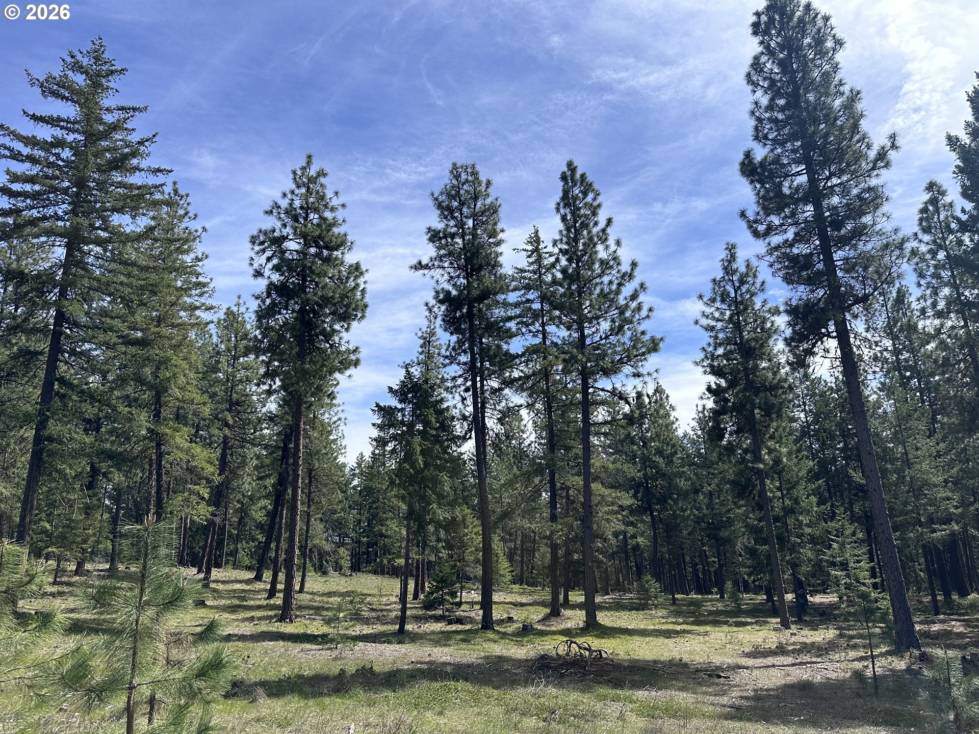 Search Homes for Sale