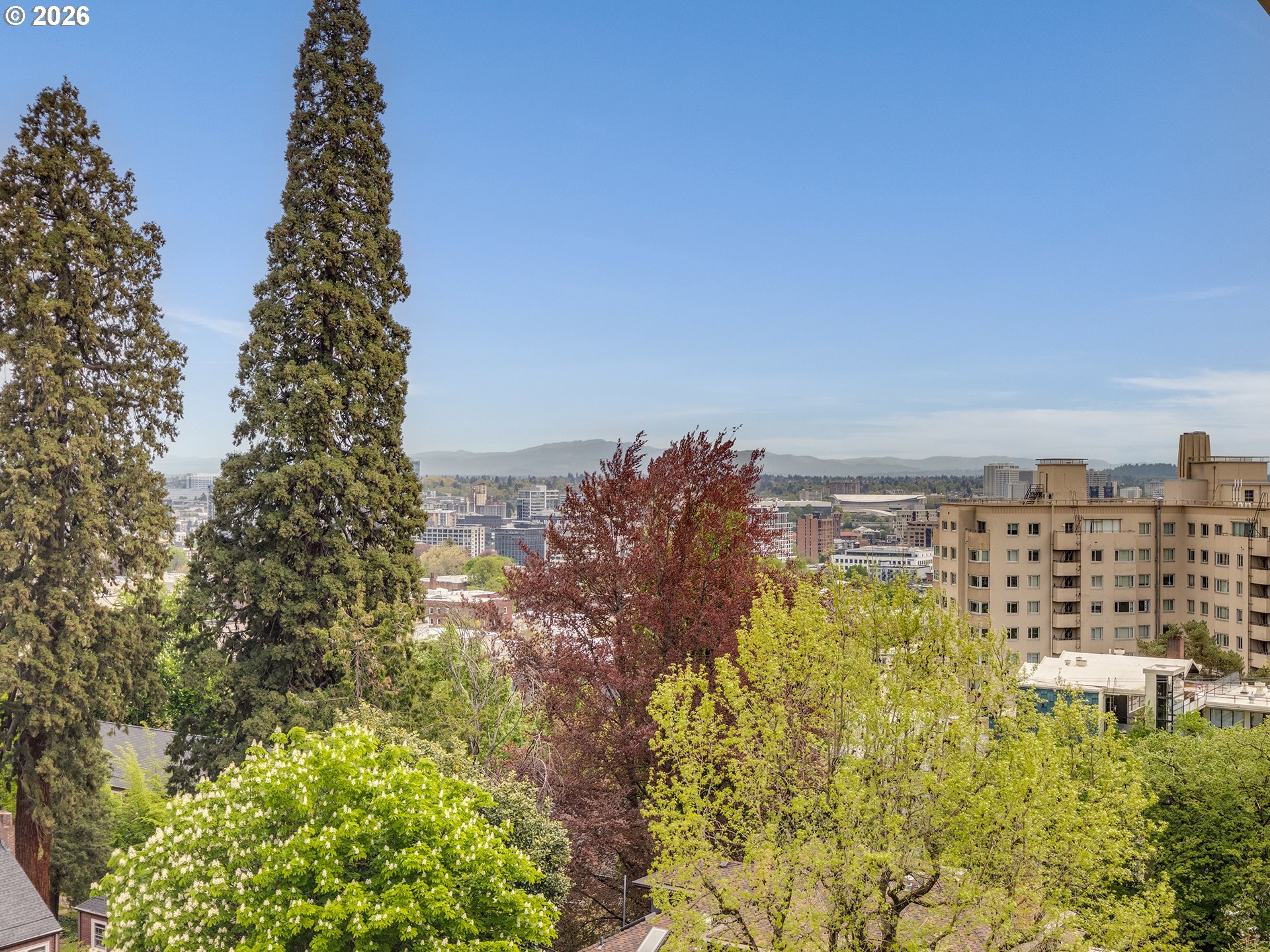 Photo #12: 687754981 Listing: Photo #12