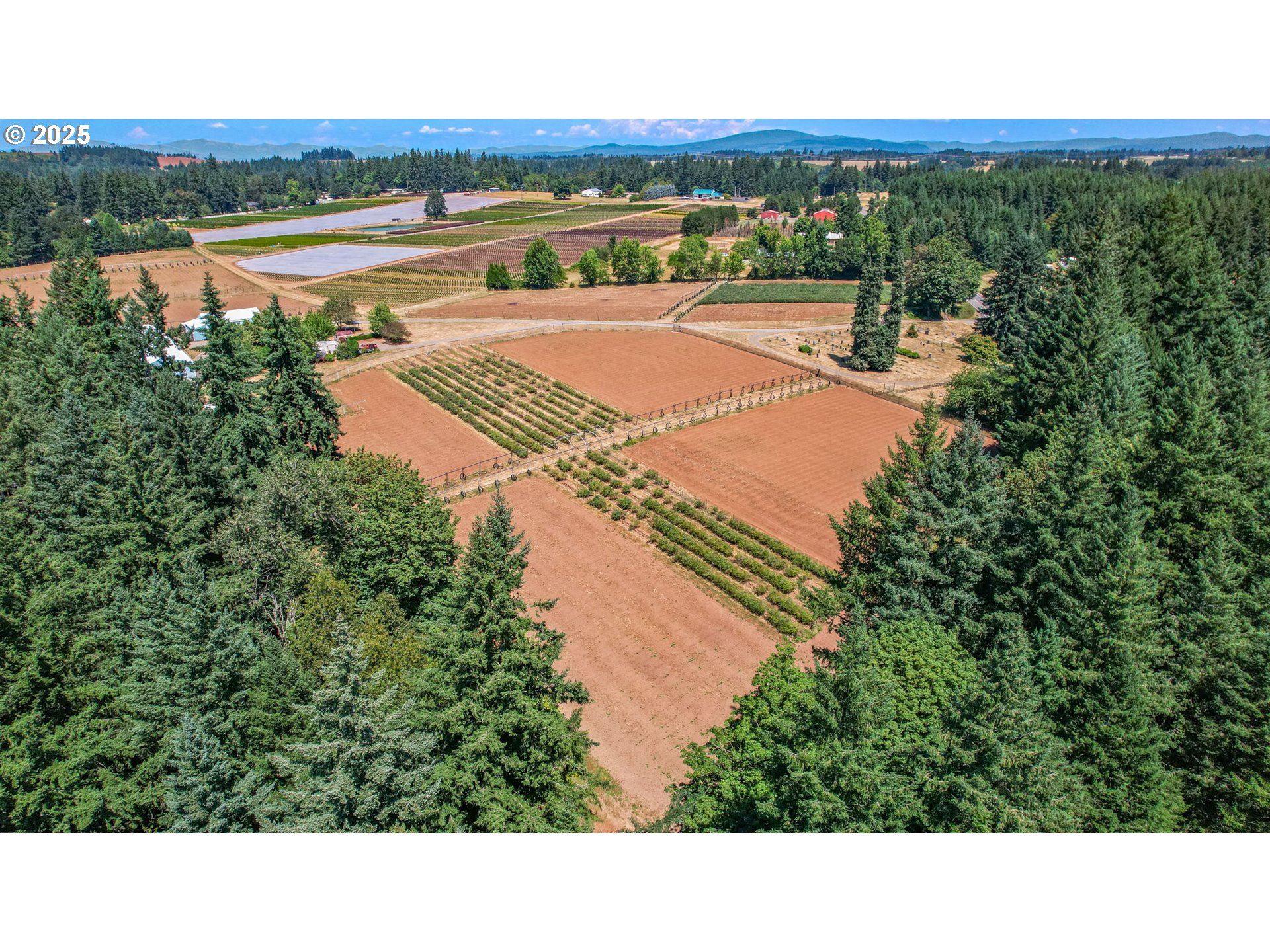 31909 SE HIGHWAY 211, Eagle Creek, OR, 97022