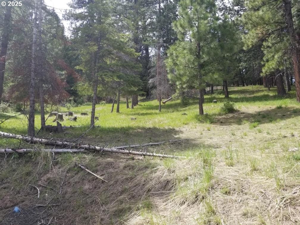 3300 Blake Ranch Lot 33, Heppner, OR, 97836