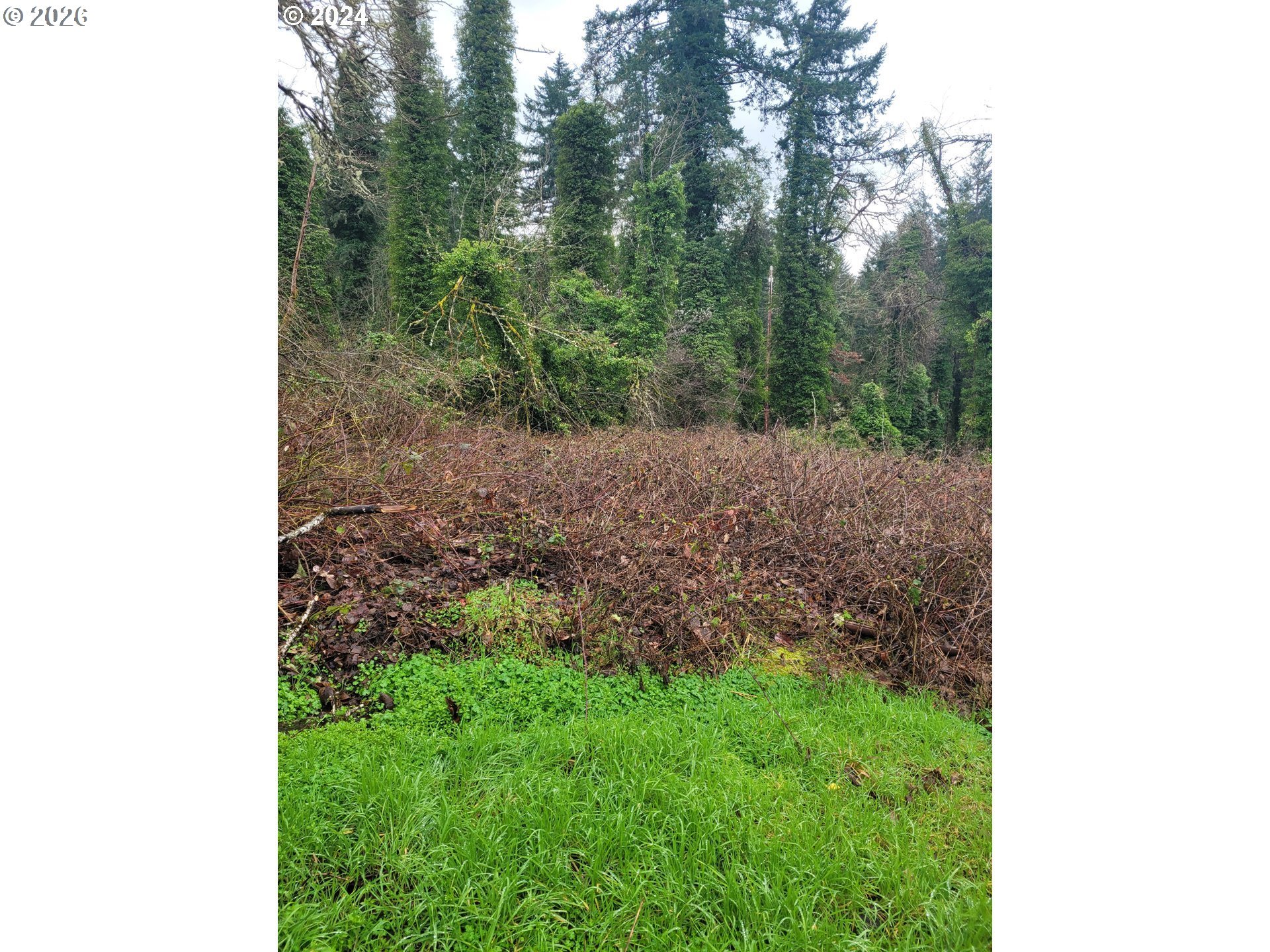 1501 324TH PL, Ocean Park, WA, 98640