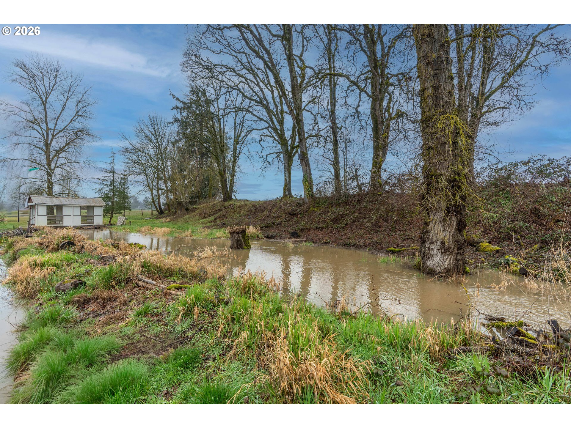 3179 SE JEFFERSON SCIO DR, Jefferson, OR, 97352