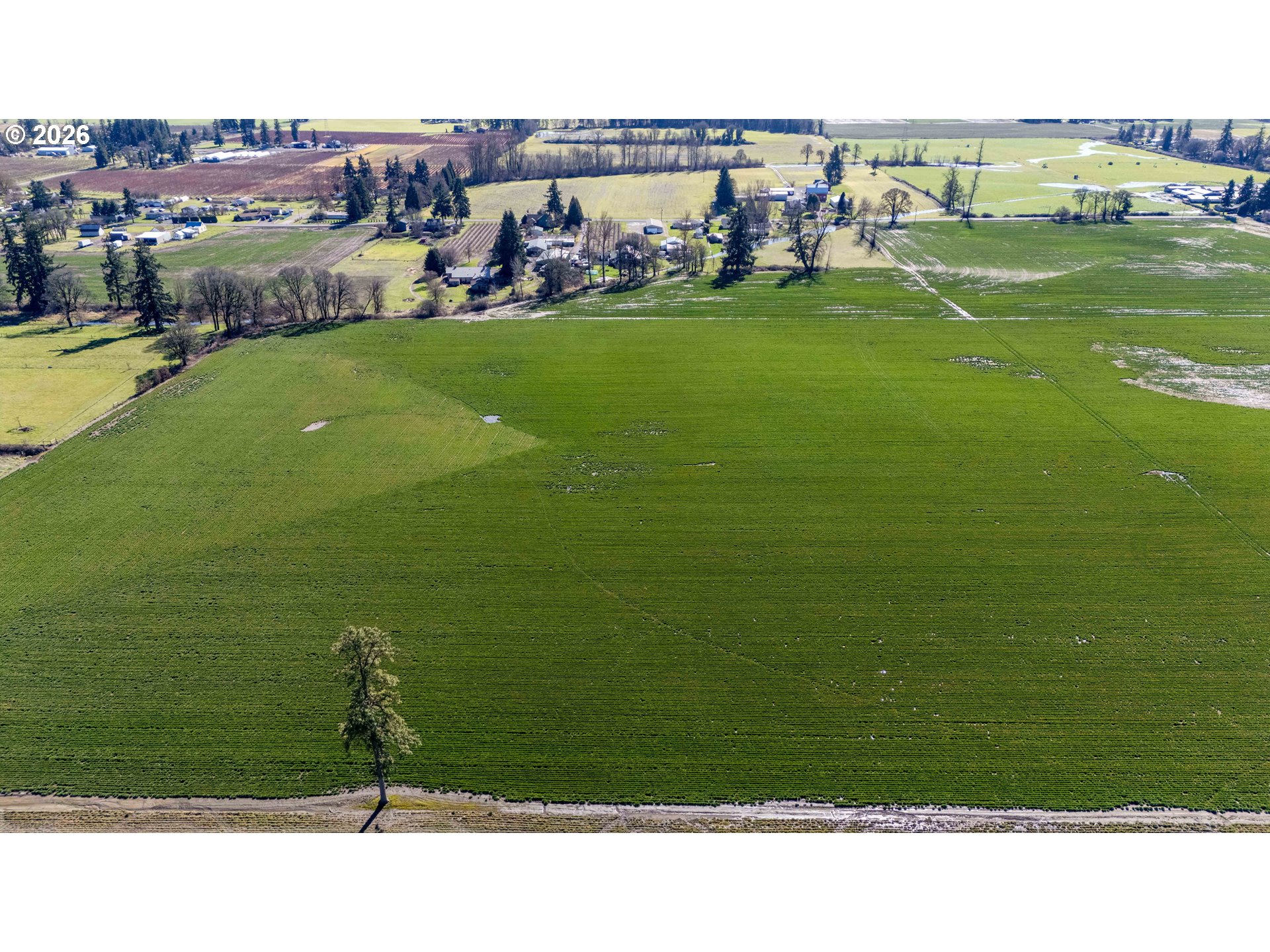 3179 SE JEFFERSON SCIO DR, Jefferson, OR, 97352