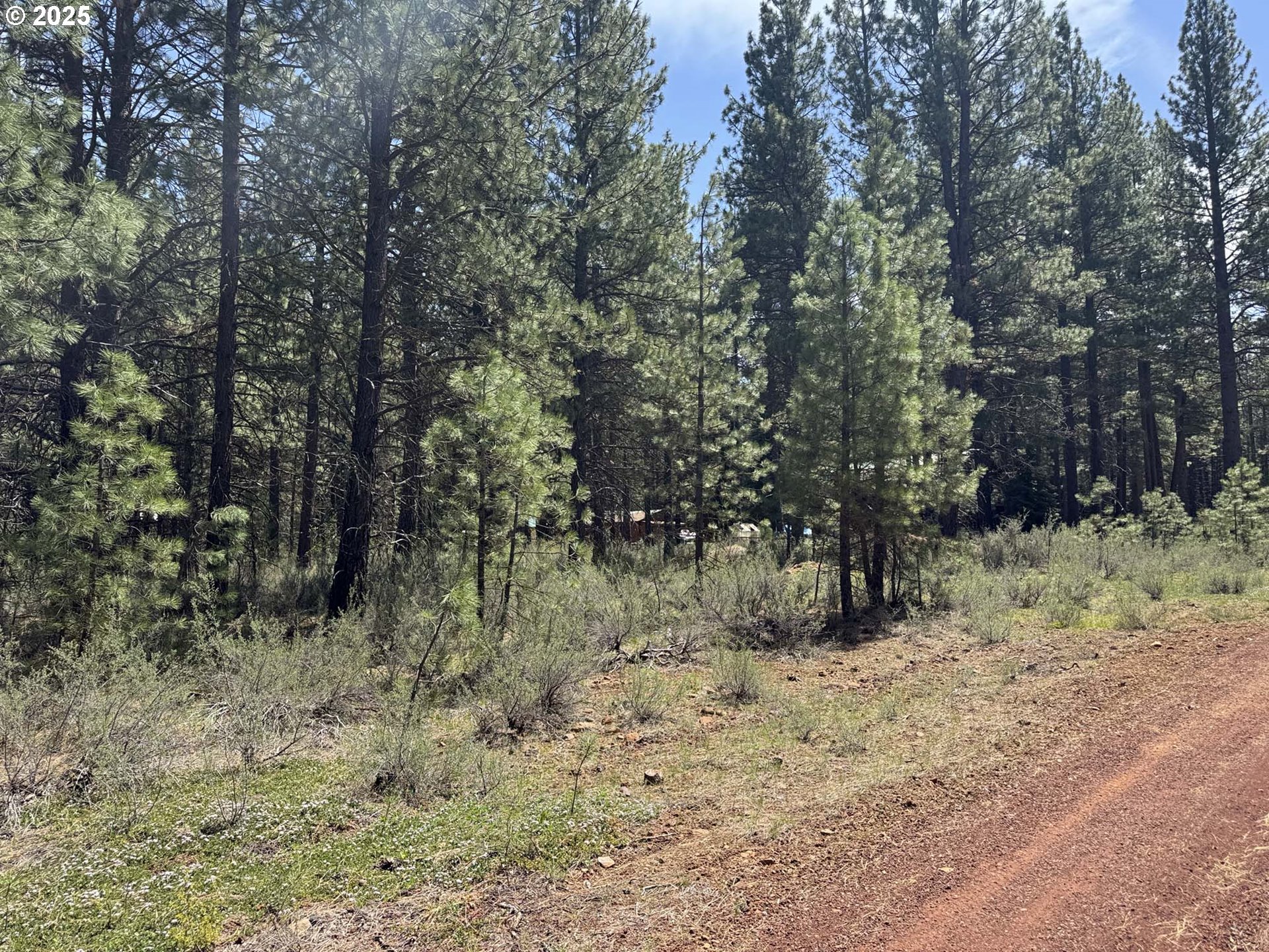 Search Homes for Sale