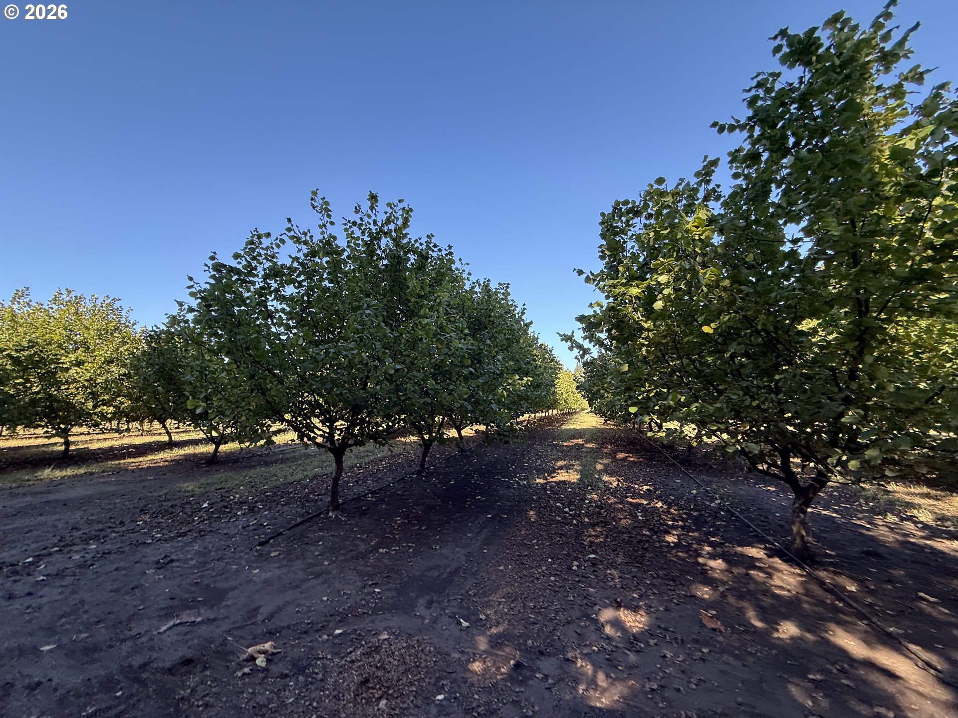 41792 SE KINGSTON JORDAN RD, Stayton, OR, 97383