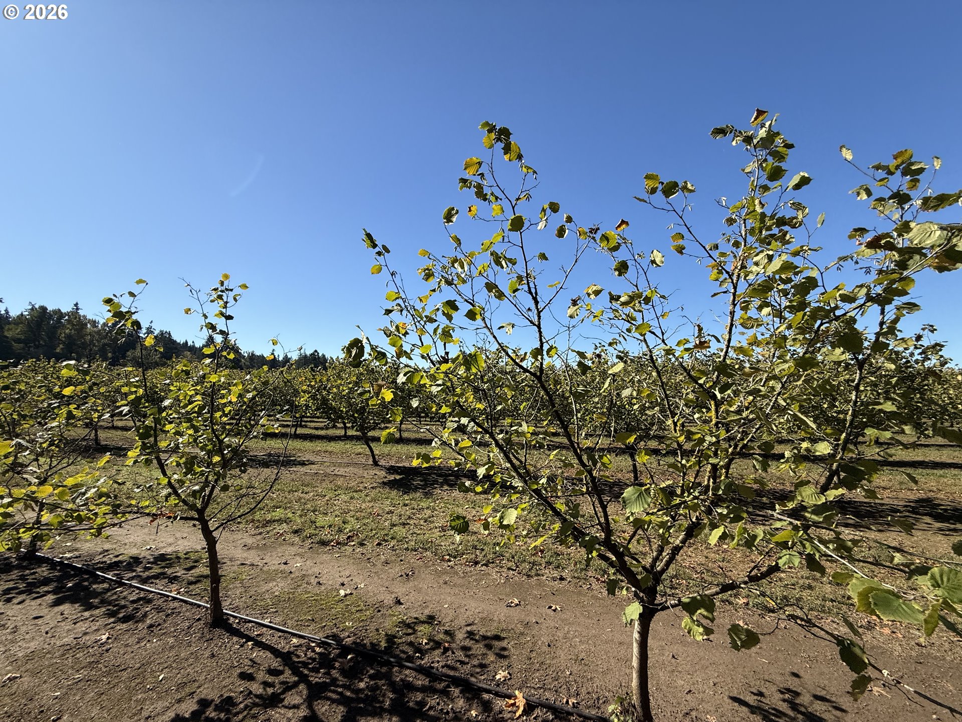 41792 SE KINGSTON JORDAN RD, Stayton, OR, 97383