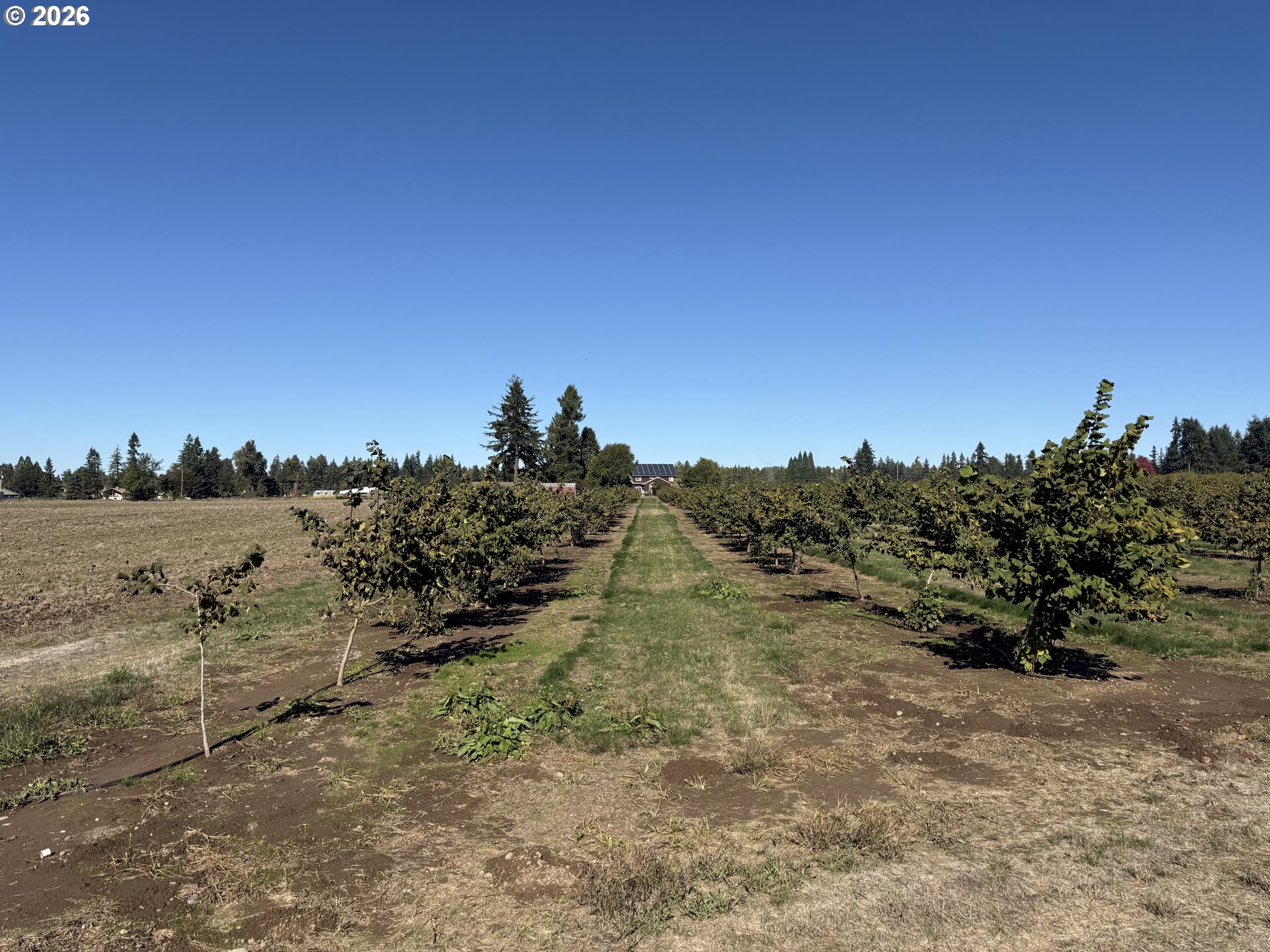 41792 SE KINGSTON JORDAN RD, Stayton, OR, 97383