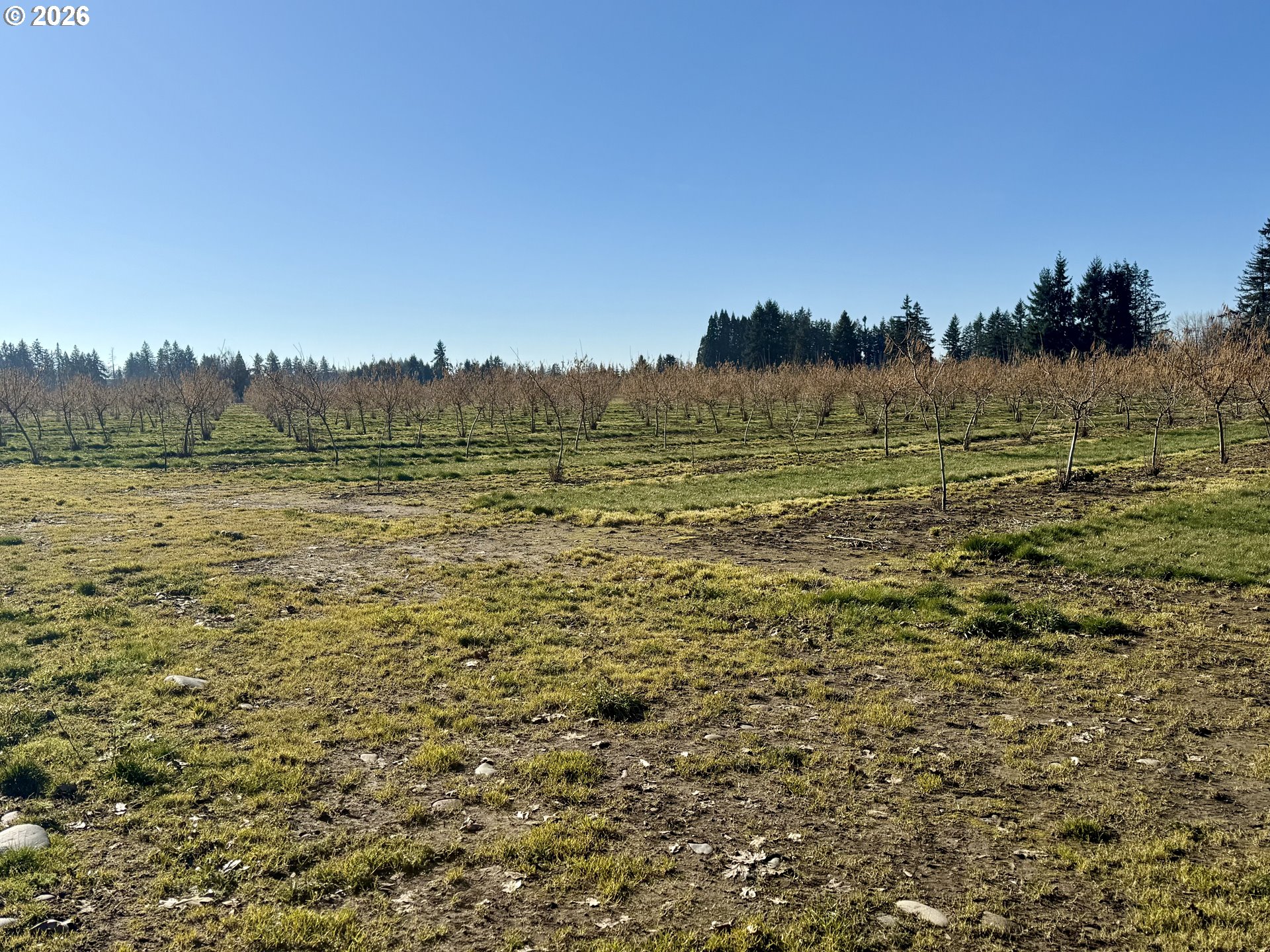 41792 SE KINGSTON JORDAN RD, Stayton, OR, 97383