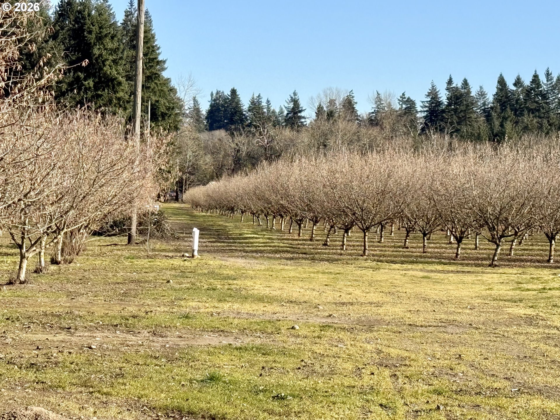 41792 SE KINGSTON JORDAN RD, Stayton, OR, 97383