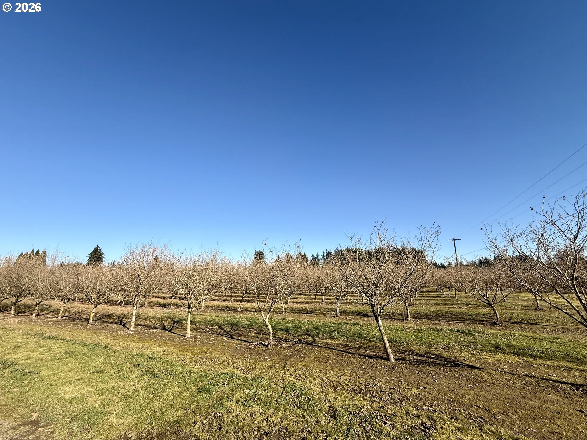 41792 SE KINGSTON JORDAN RD, Stayton, OR, 97383